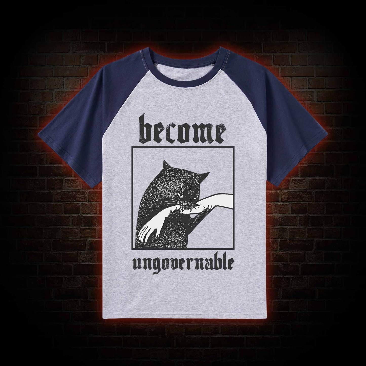 Silly Cats Raglan T-shirt