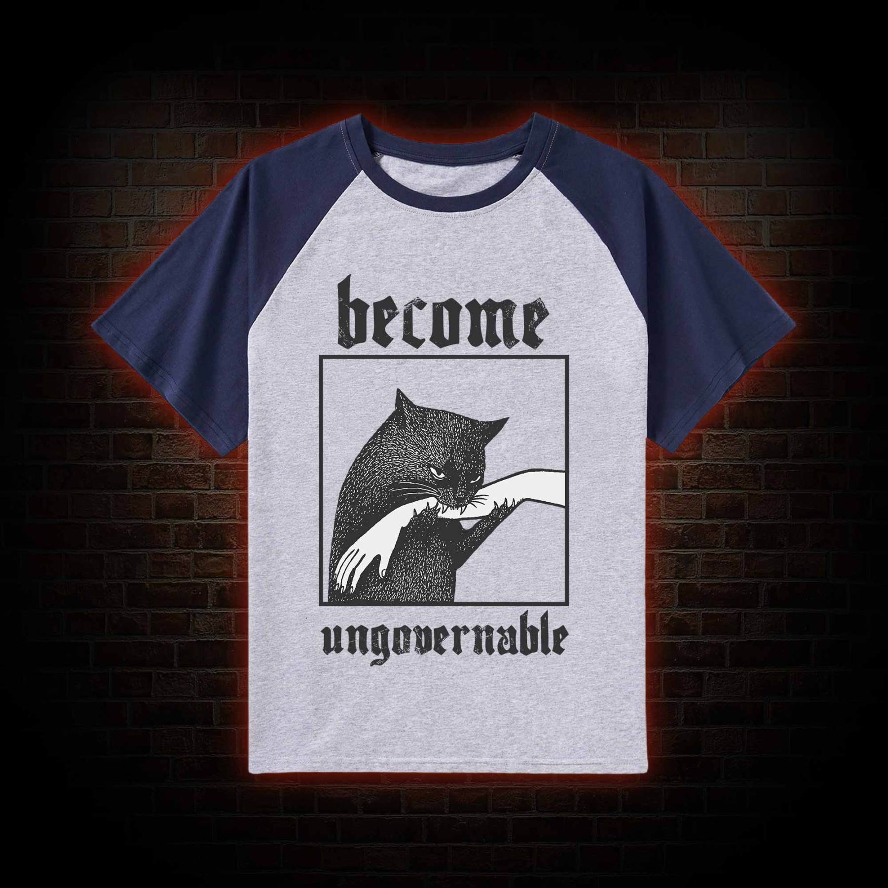 Silly Cats Raglan T-shirt