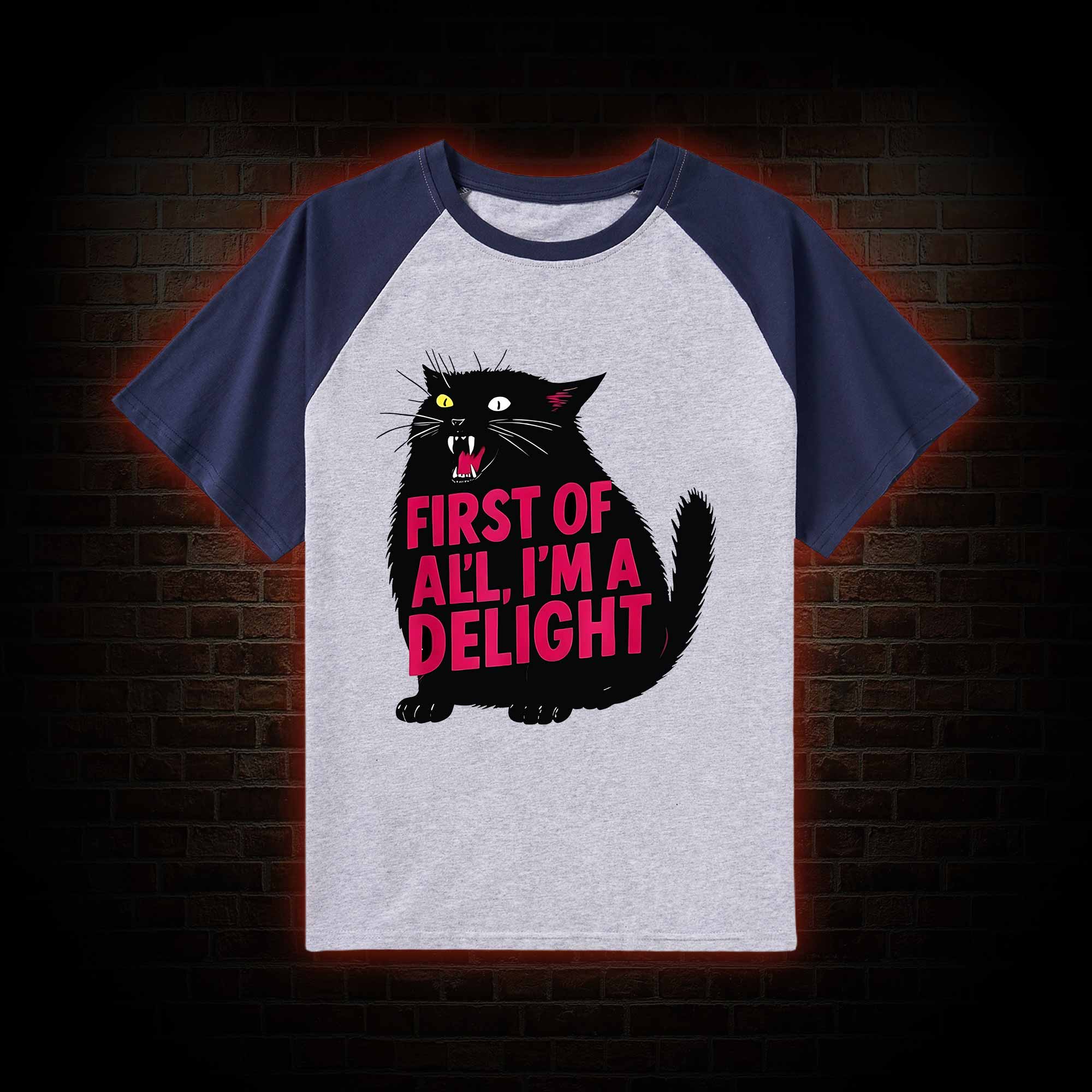 First of all I'm a Delight Raglan T-shirt