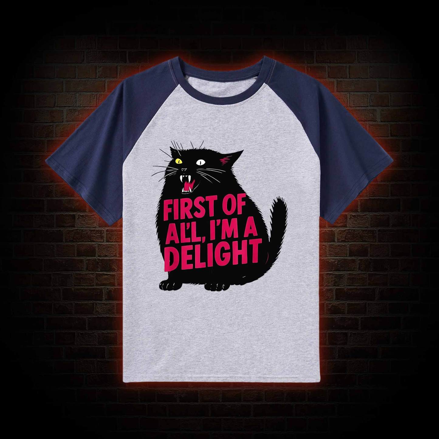 First of all I'm a Delight Raglan T-shirt