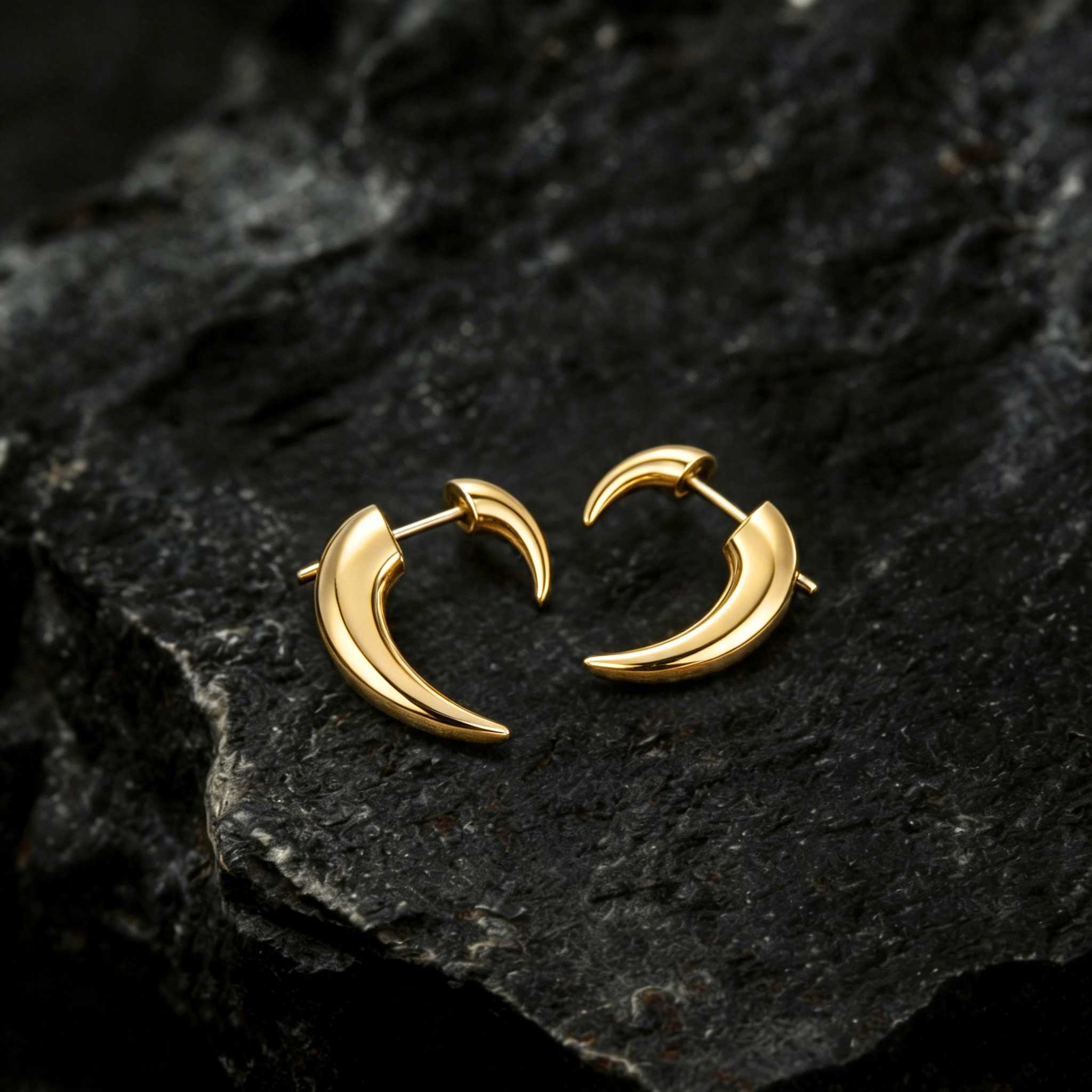 Horn Stud Earrings