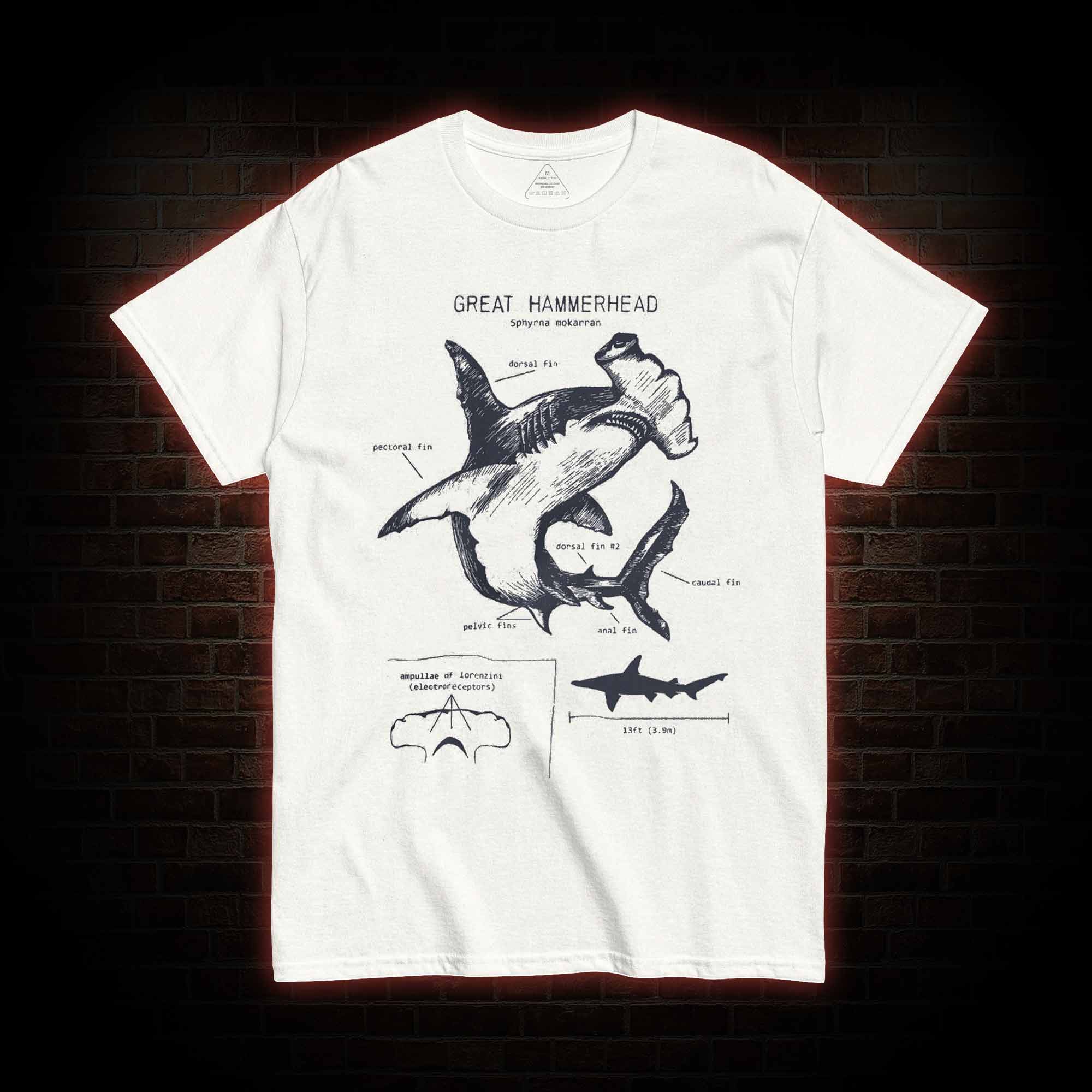 Great Hammerhead Anatomy T-Shirt