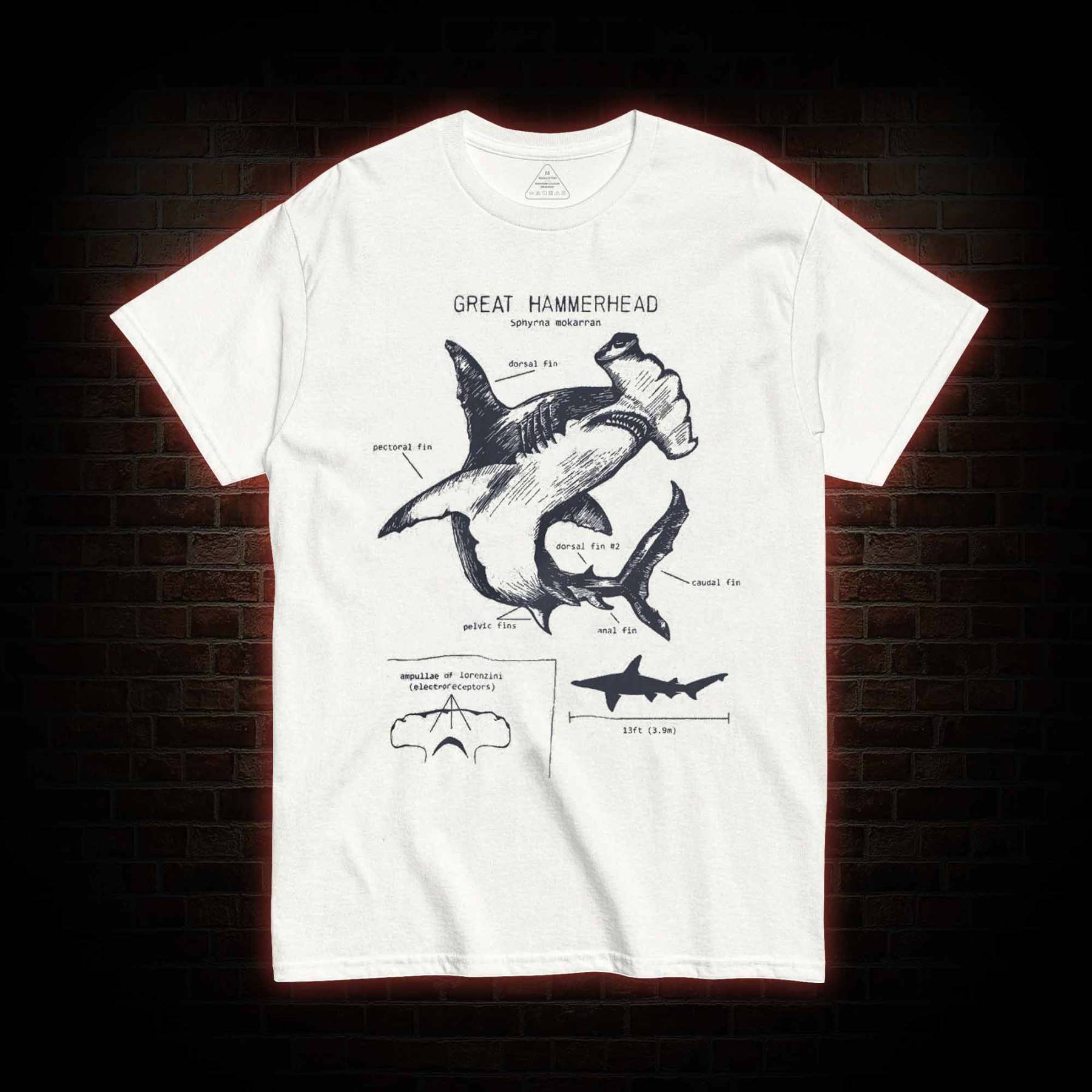 Great Hammerhead Anatomy T-Shirt