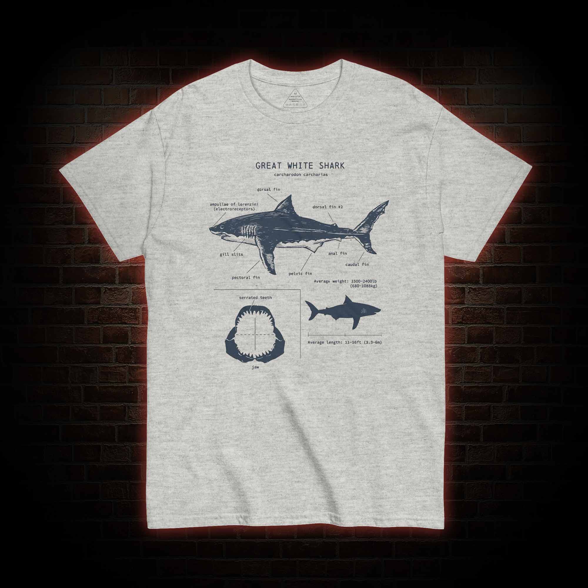 Great White Shark Biology T-Shirt 