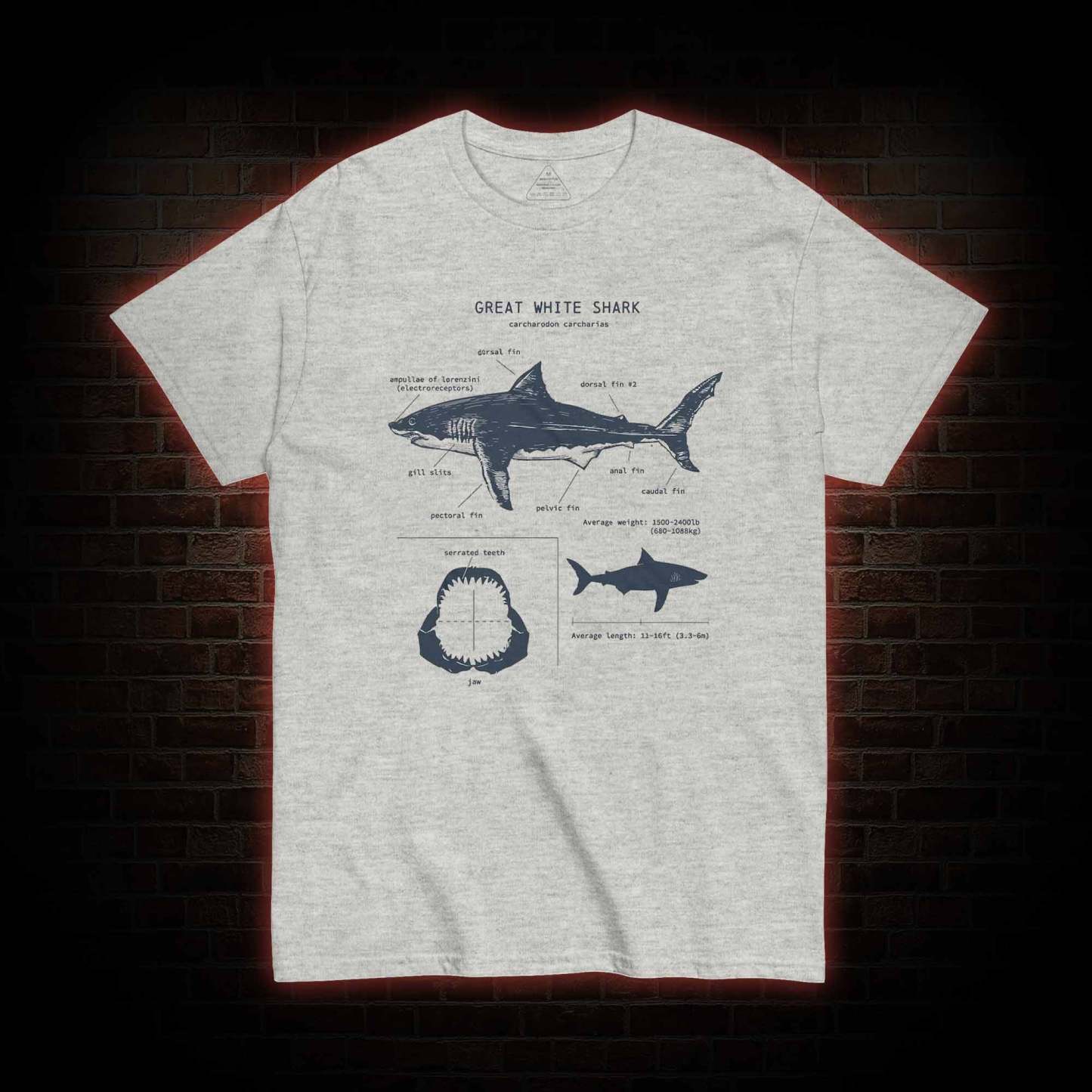 Great White Shark Biology T-Shirt