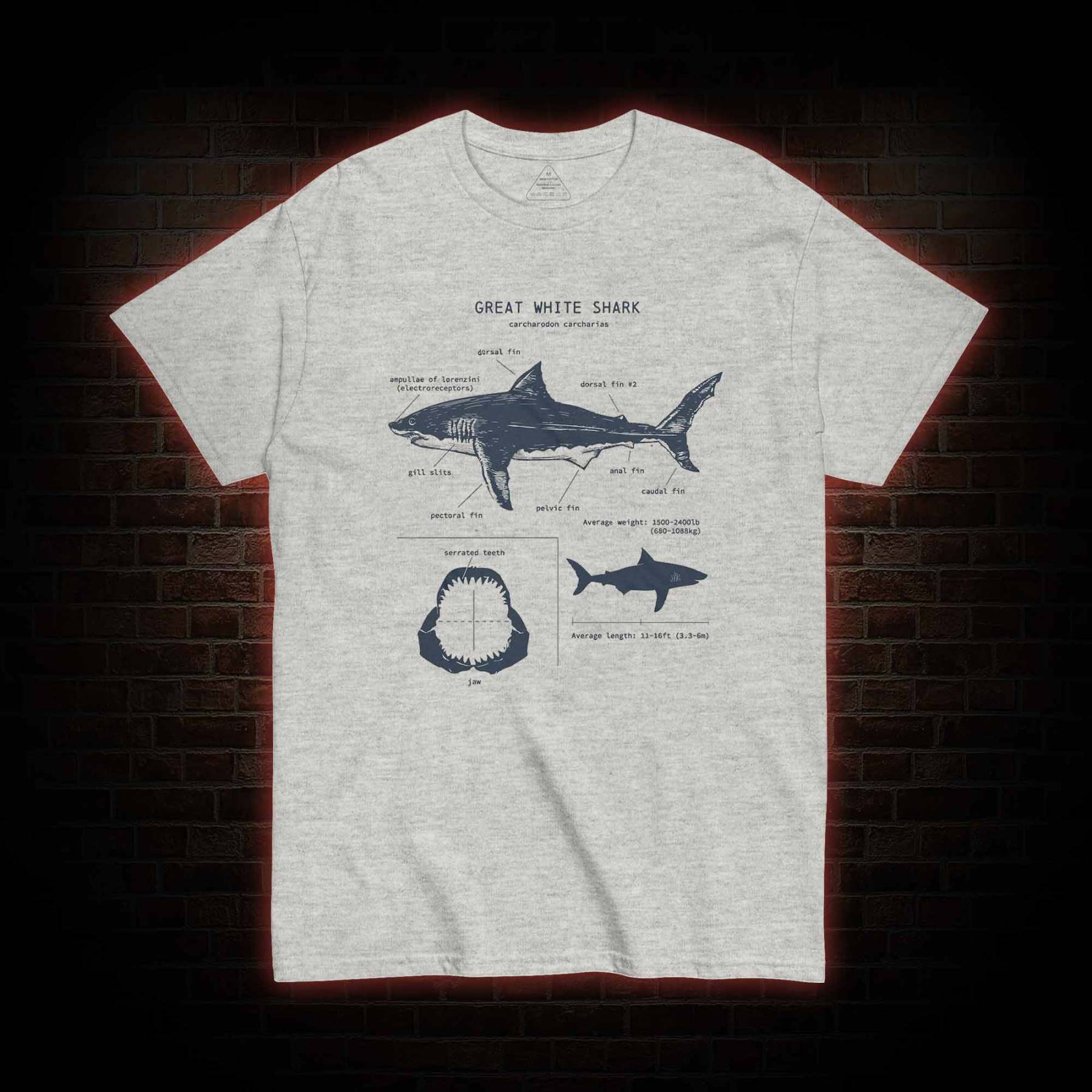 Great White Shark Biology T-Shirt
