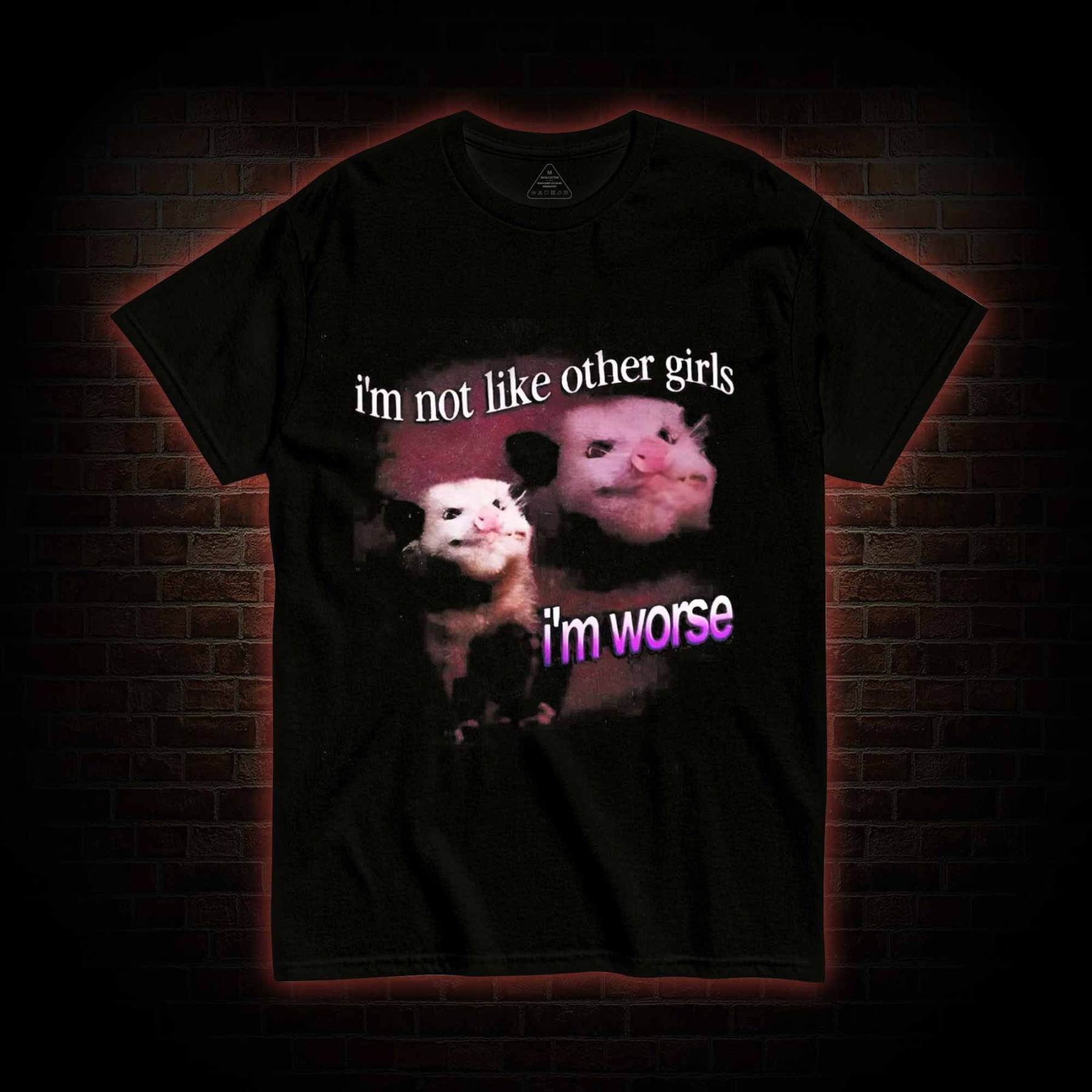 I'm Not Like Other Girls I'm Worse T-shirt
