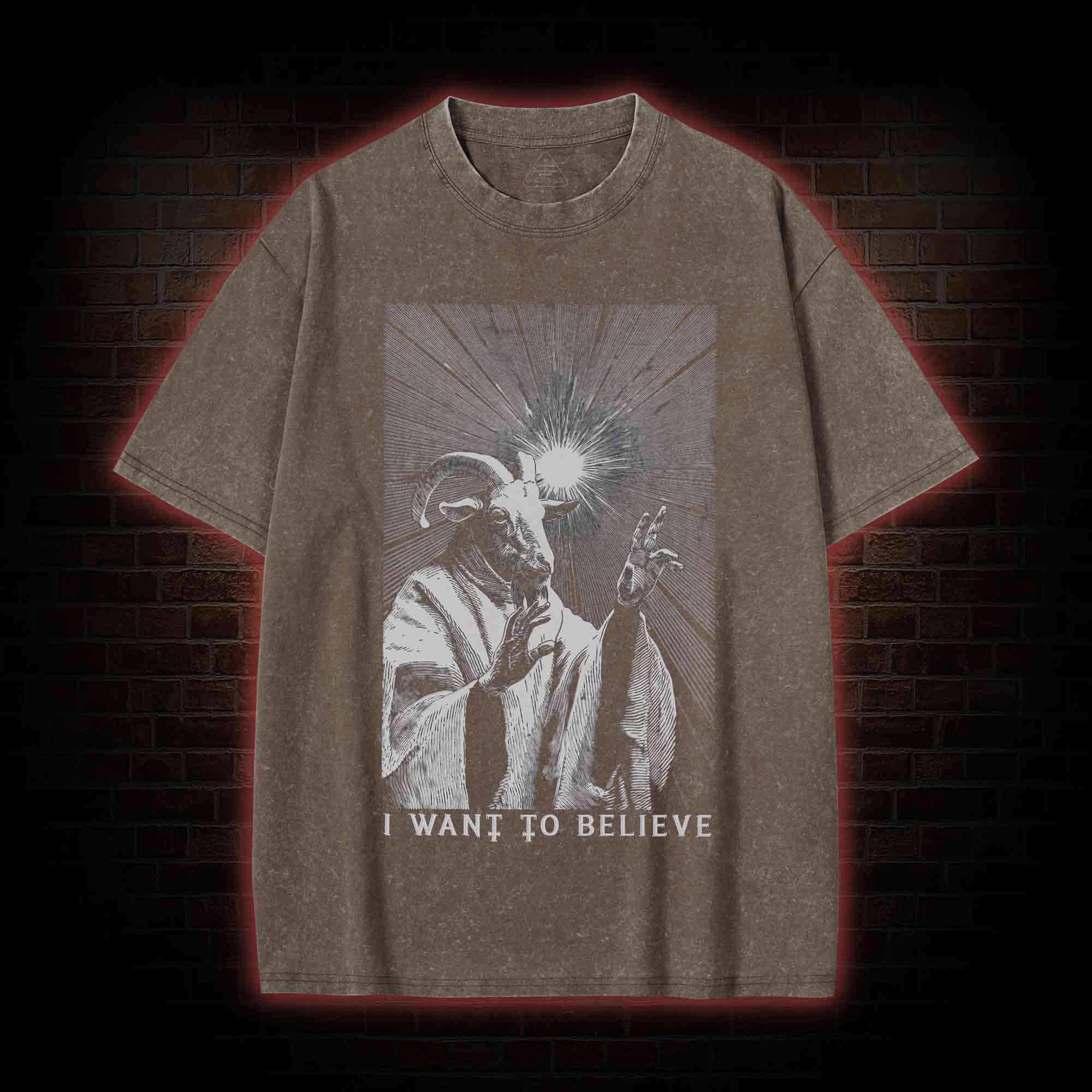 I Want to Believe Goat Washed T-shirt