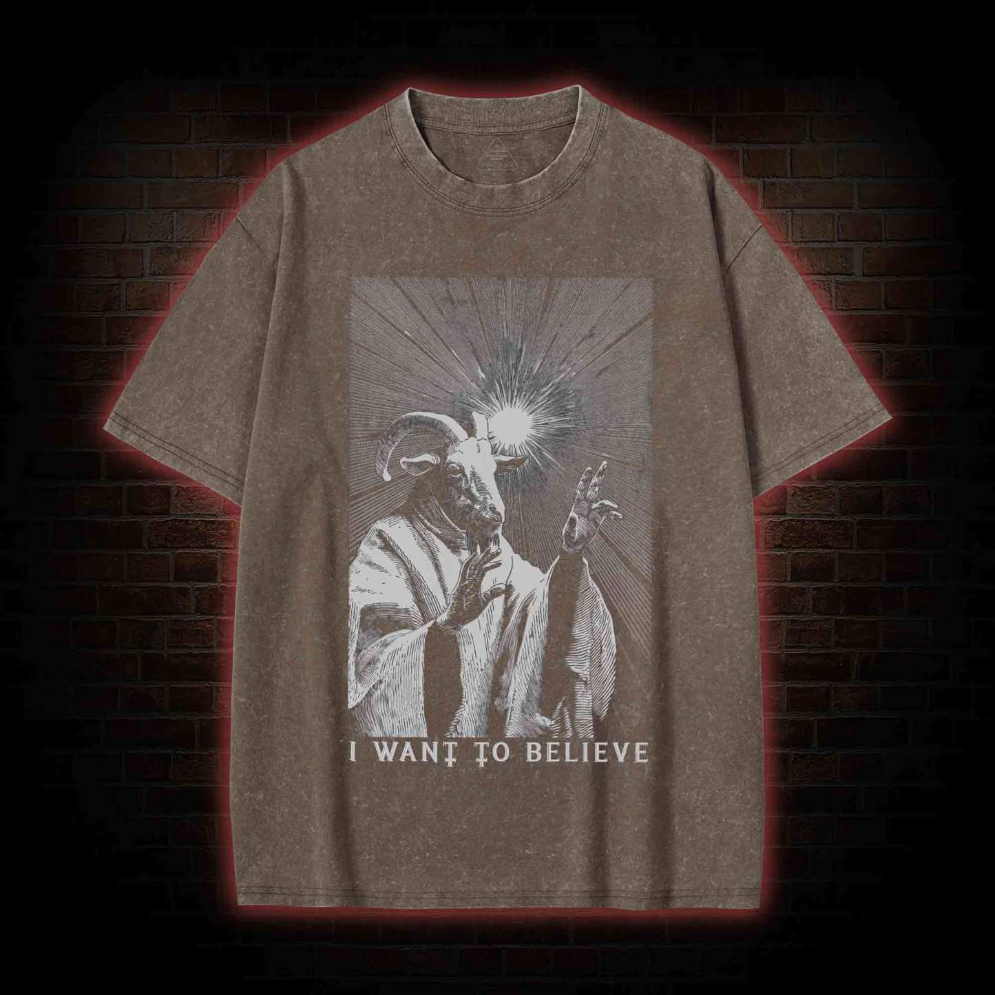 I Want to Believe Goat Washed T-shirt