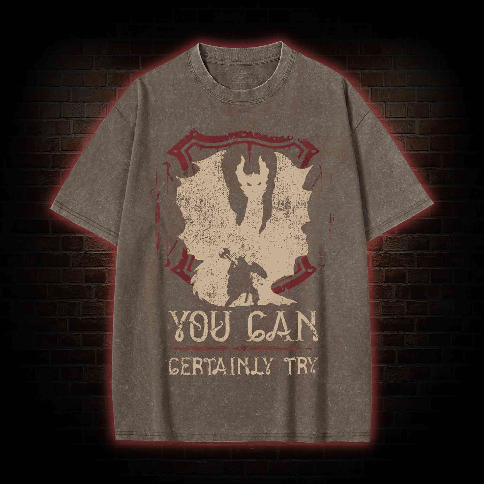 You Can Certainly Try Washed T-shirt