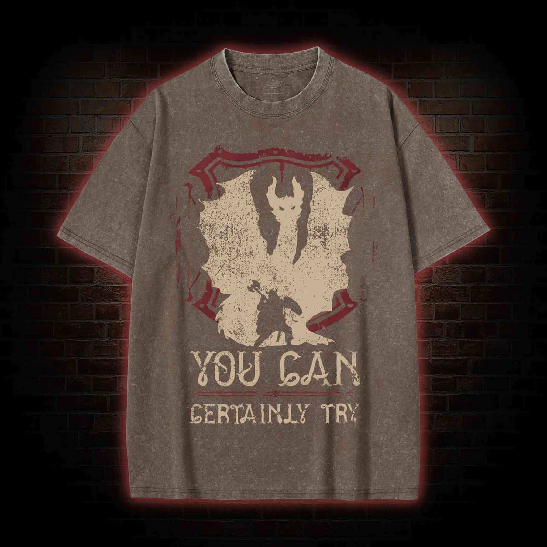 You Can Certainly Try Washed T-shirt