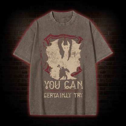 You Can Certainly Try Washed T-shirt