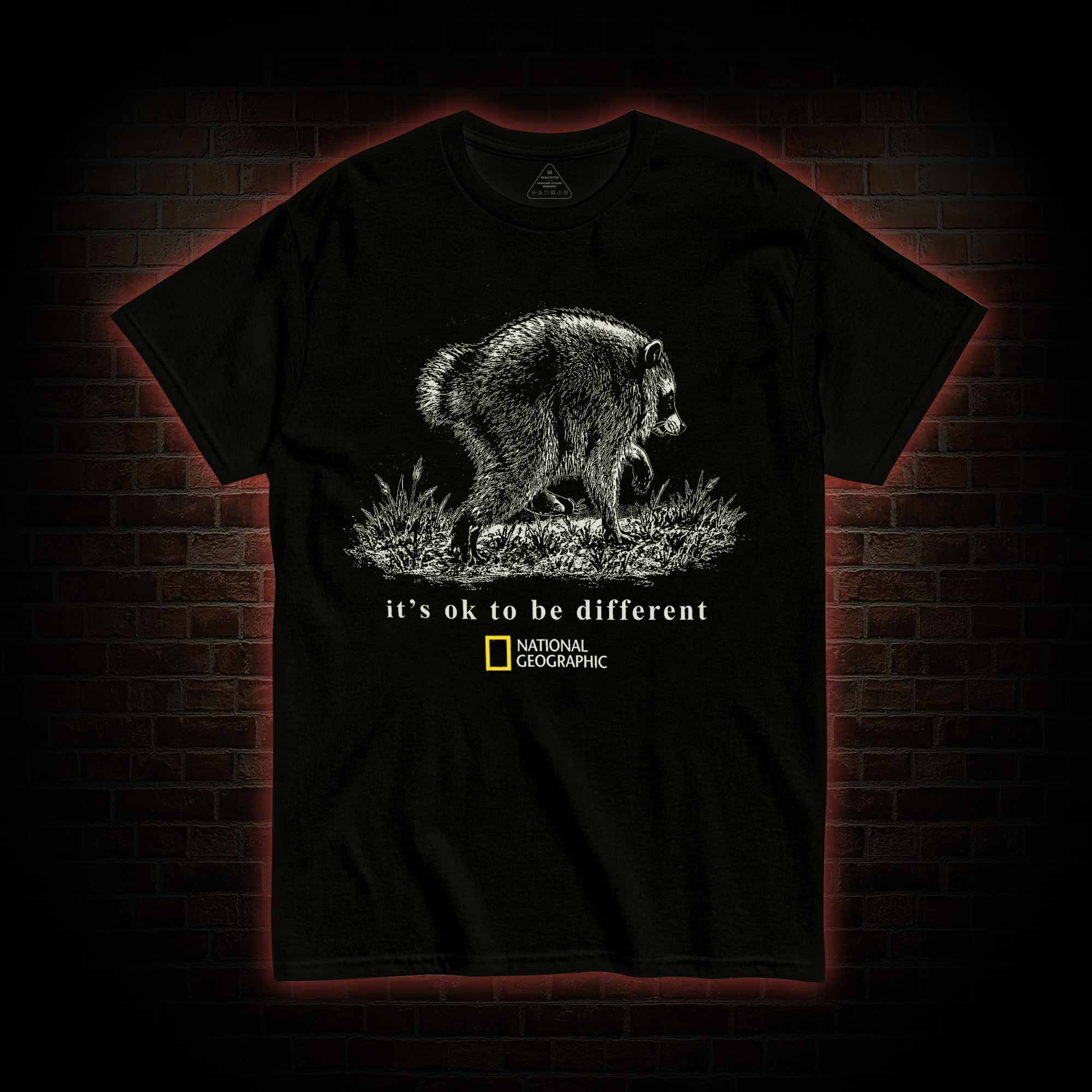 It's Ok to be Different Jimothy  T-shirt