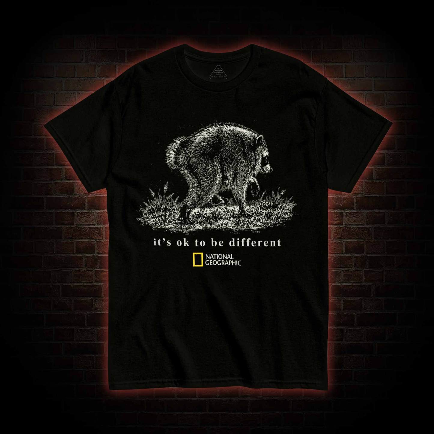It's Ok to be Different Jimothy  T-shirt