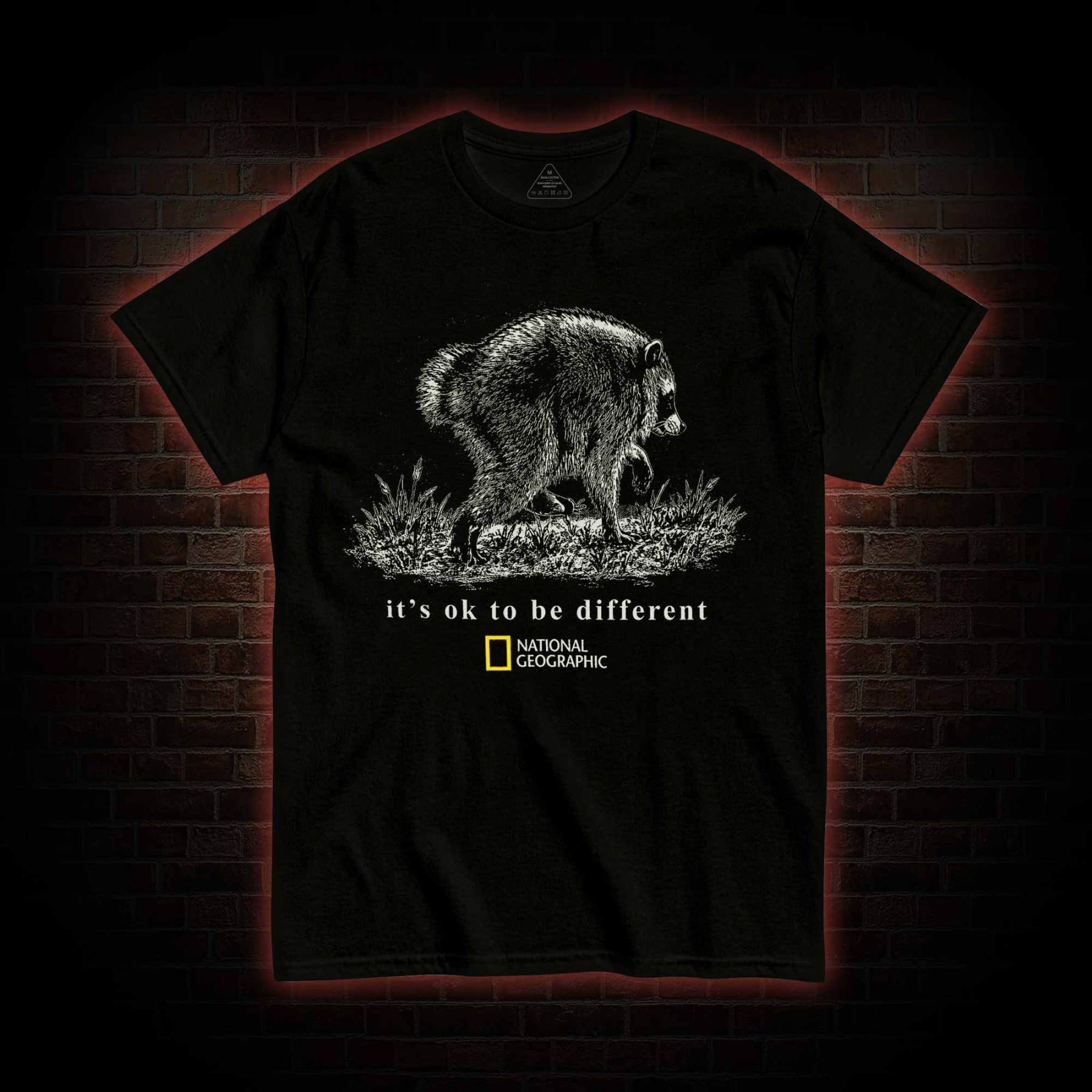 It's Ok to be Different Jimothy  T-shirt