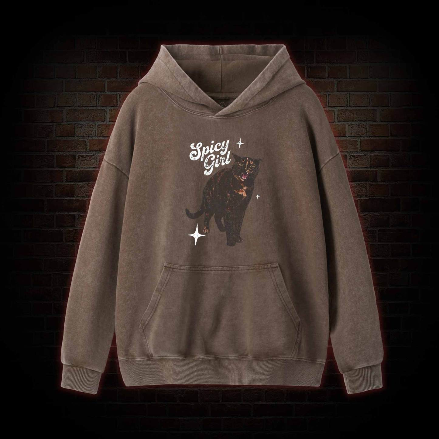 Spicy Girl Washed Hoodie