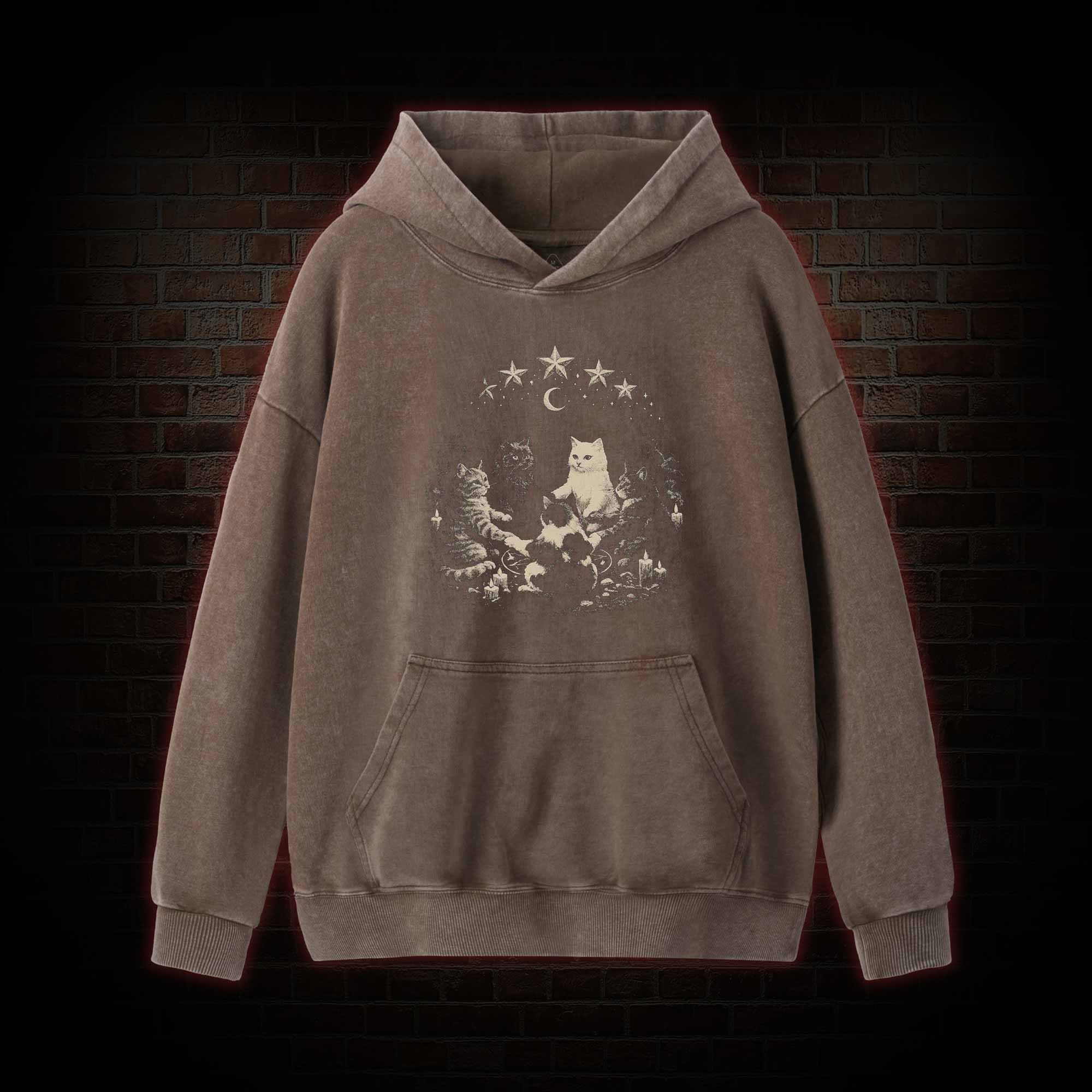 Cat Ritual Washed Hoodie