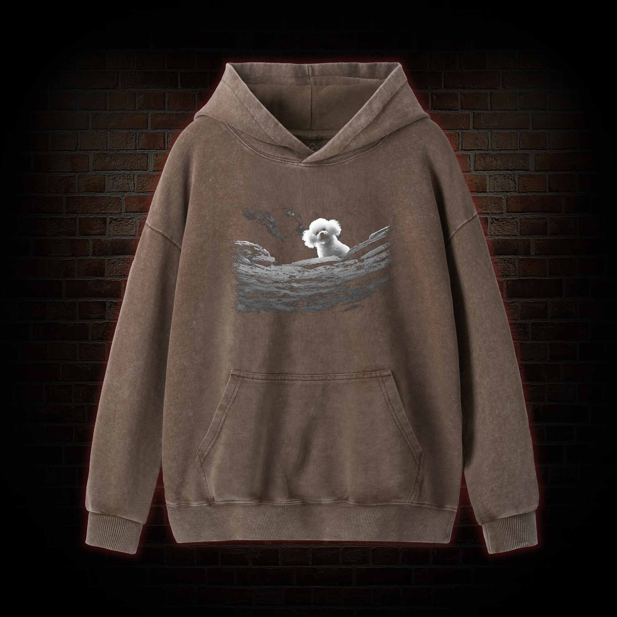 Precious Dog Washed Hoodie