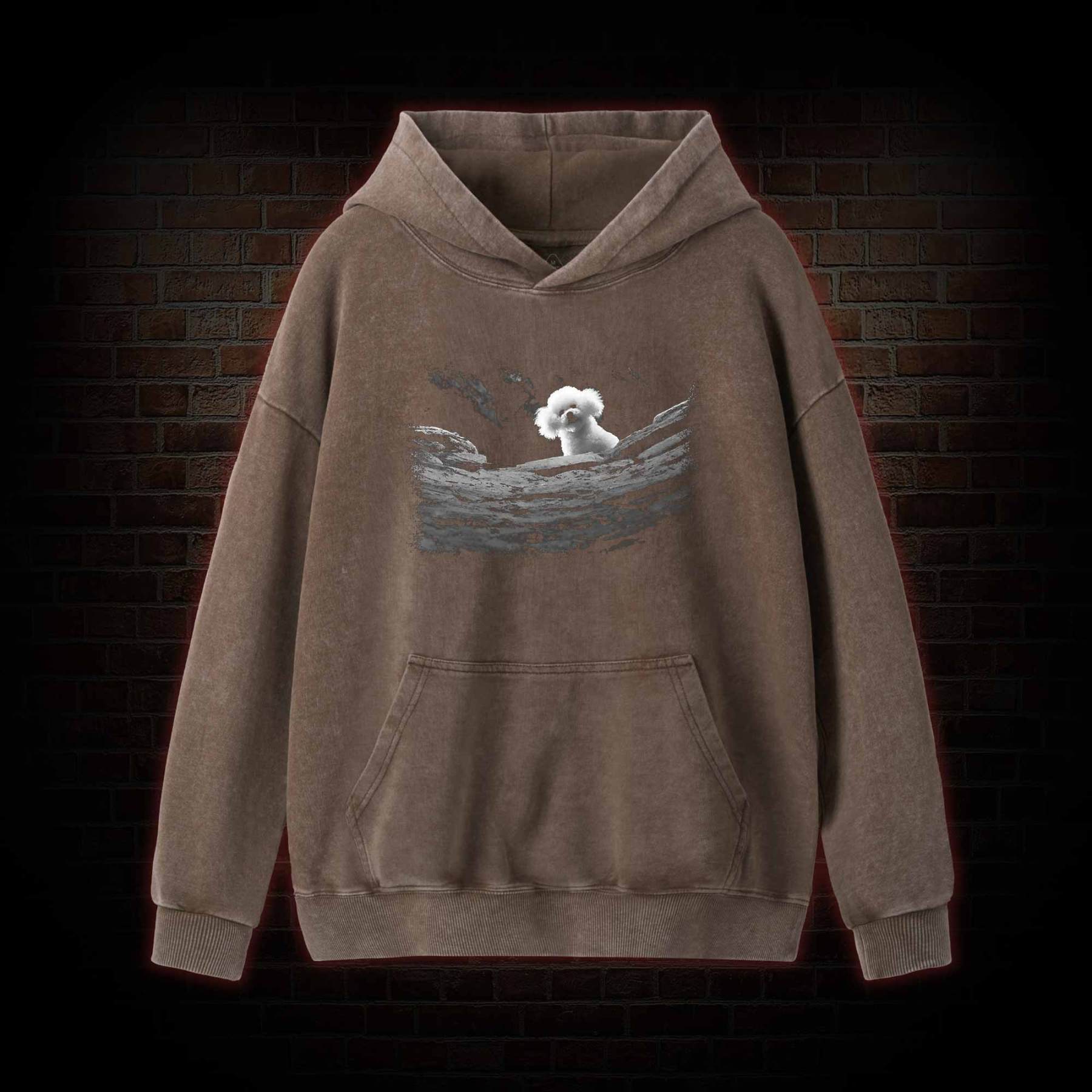 Precious Dog Washed Hoodie