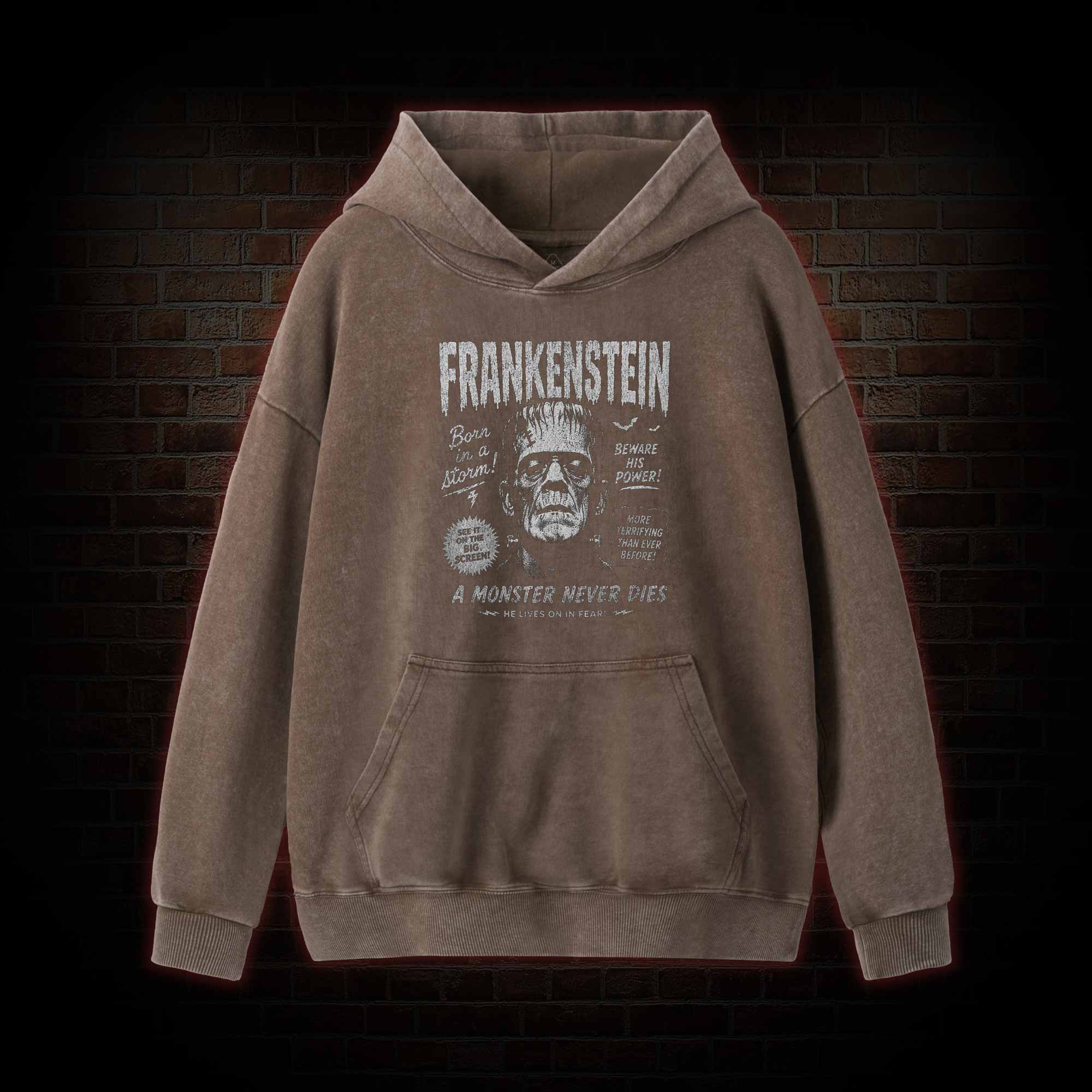 Born in a Storm Washed Hoodie