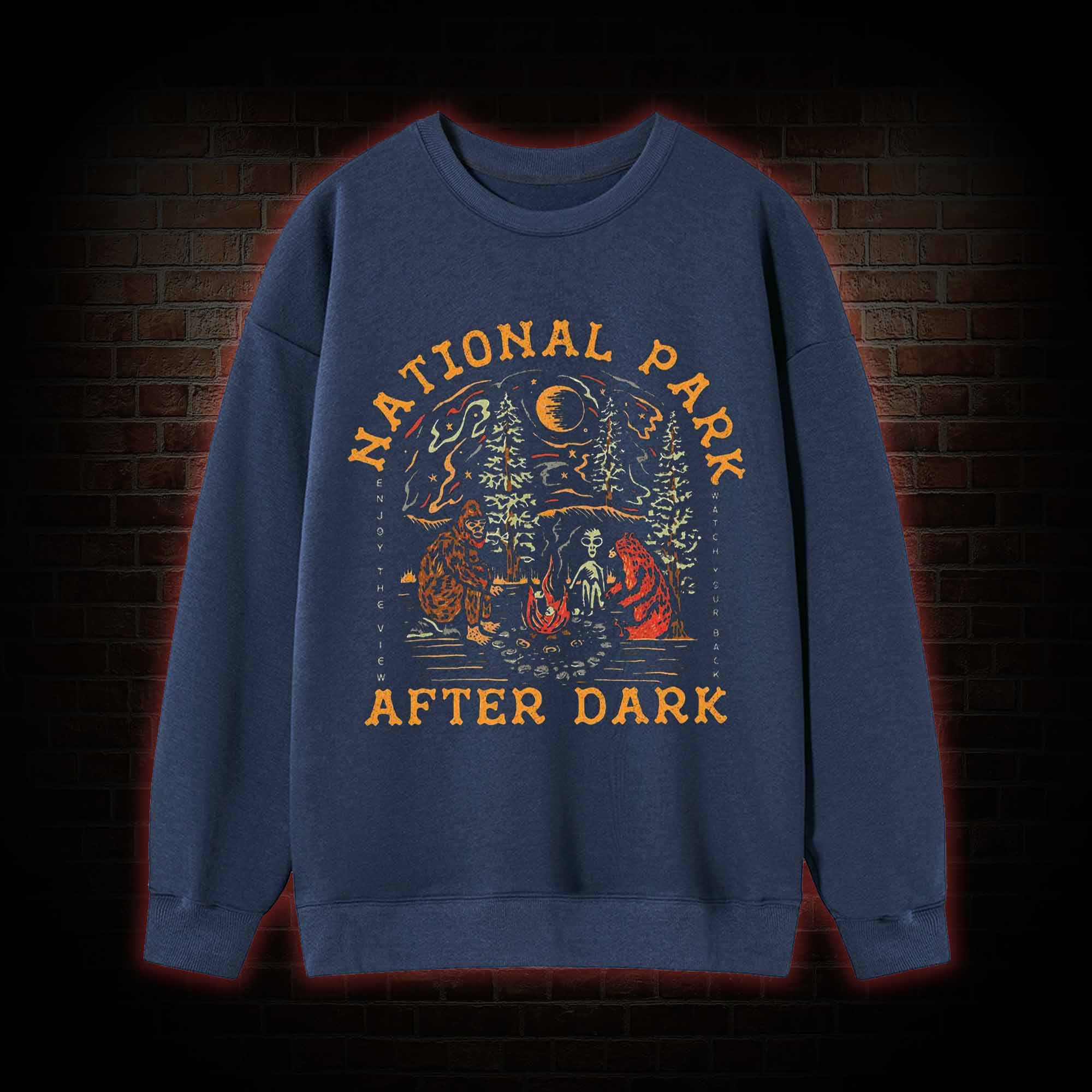 National Park After Dark Sweatshirt