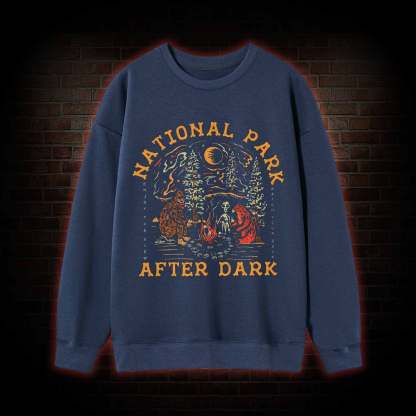 National Park After Dark Sweatshirt