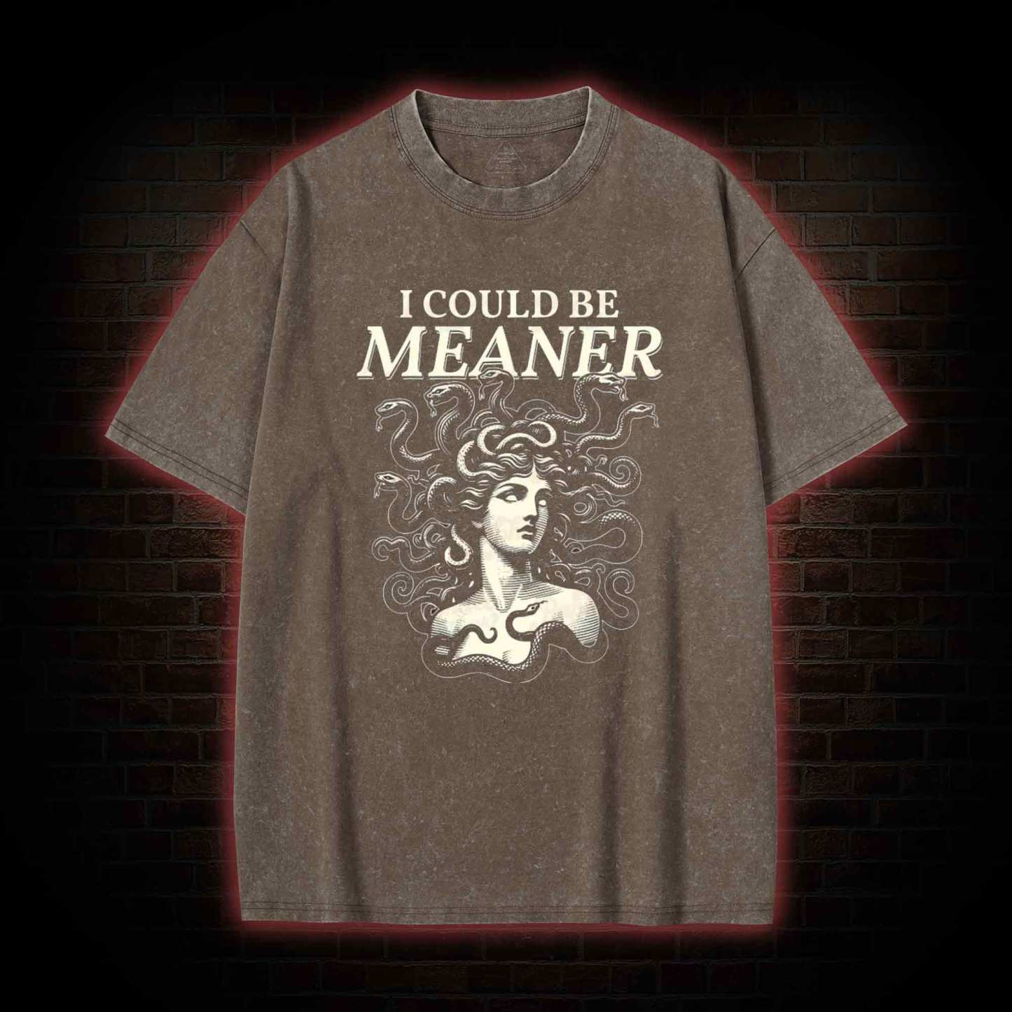 I Could be Meaner Washed T-shirt