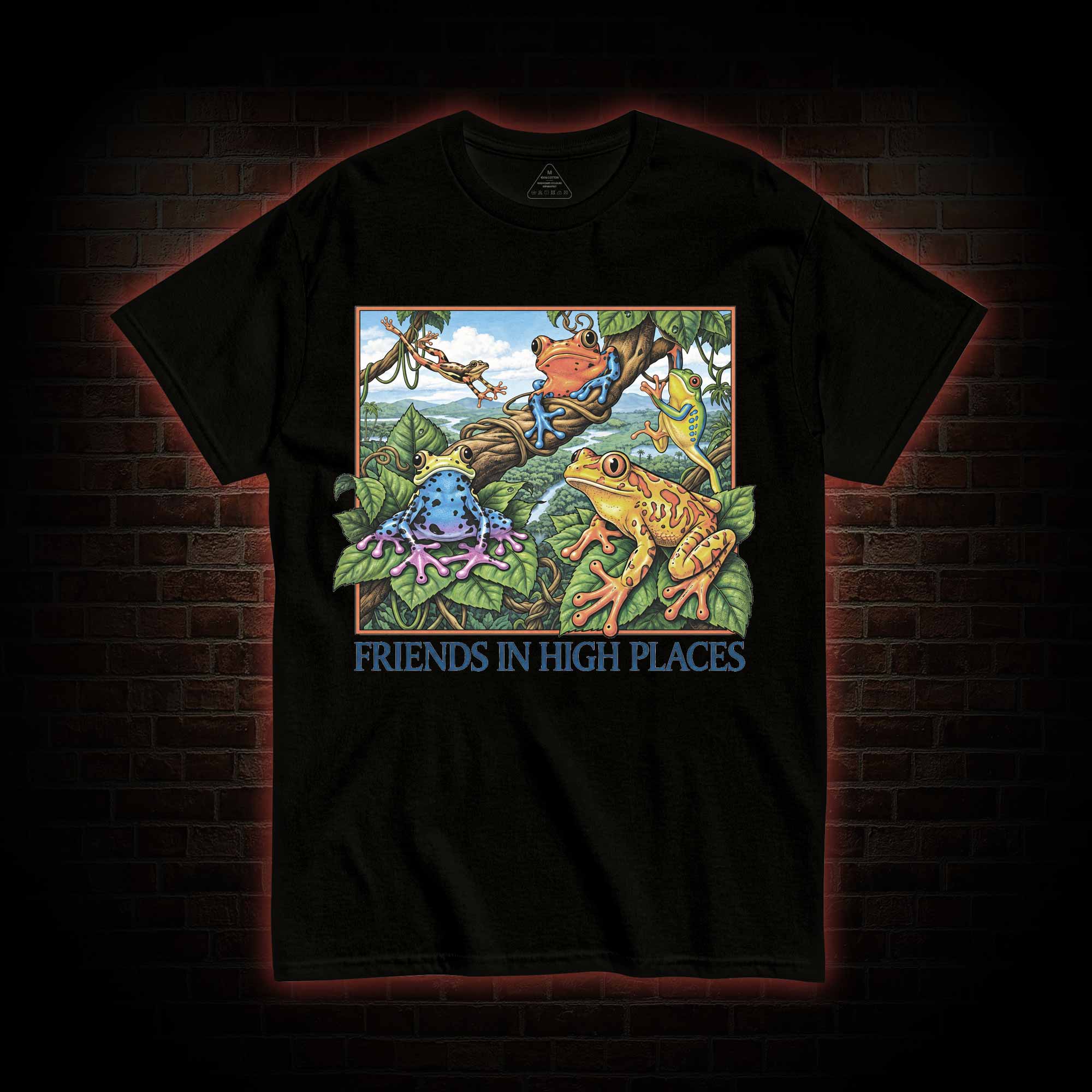 Friends in High Places T-shirt