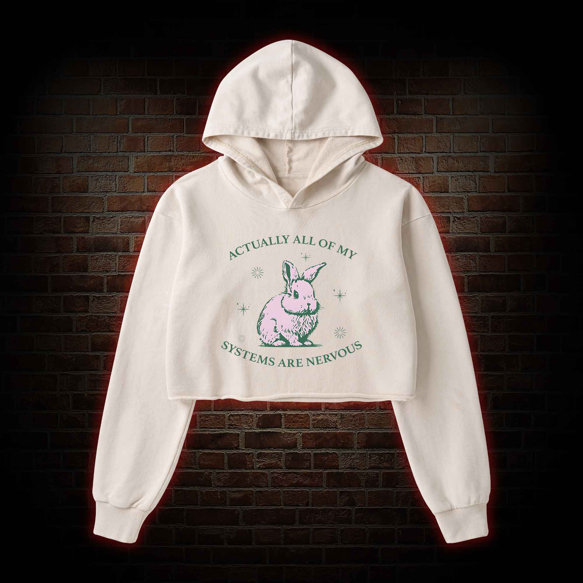 Actually All of My Systems are Nervous Washed Cropped Hoodie