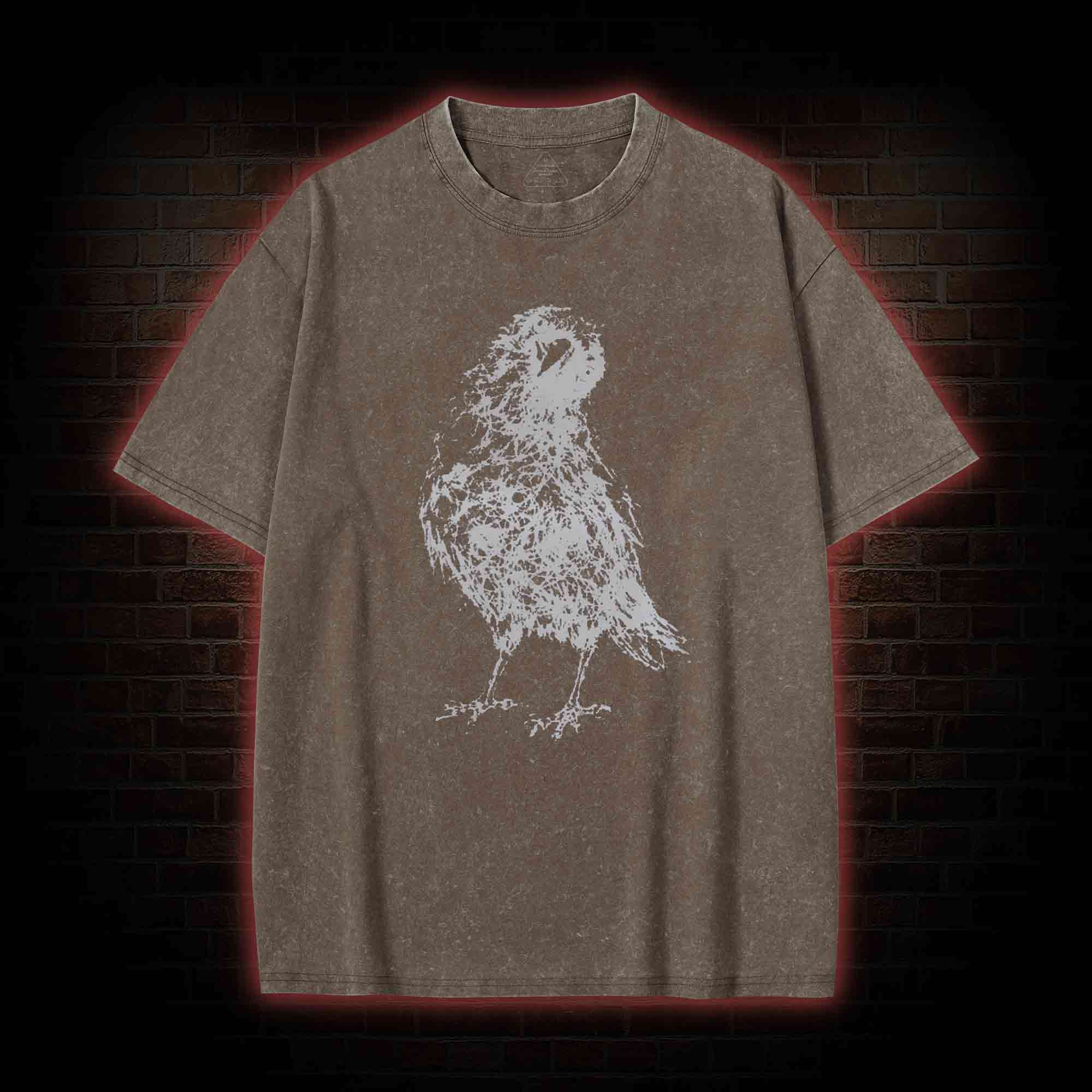 Raven Washed T-shirt