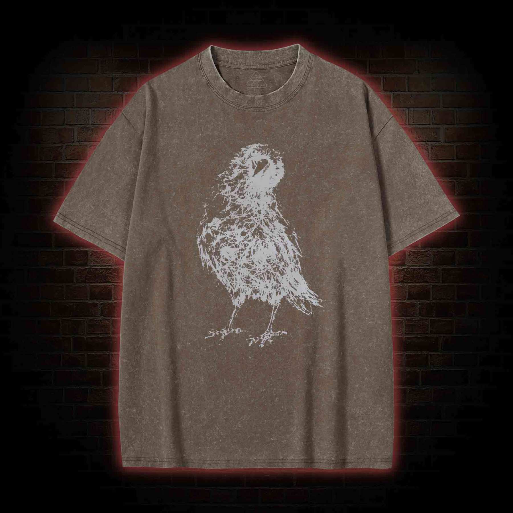Raven Washed T-shirt