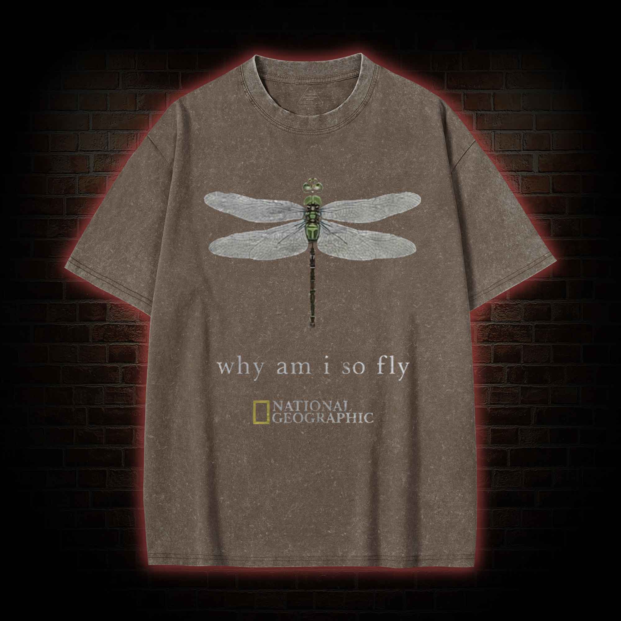 Why am I So Fly Washed T-shirt