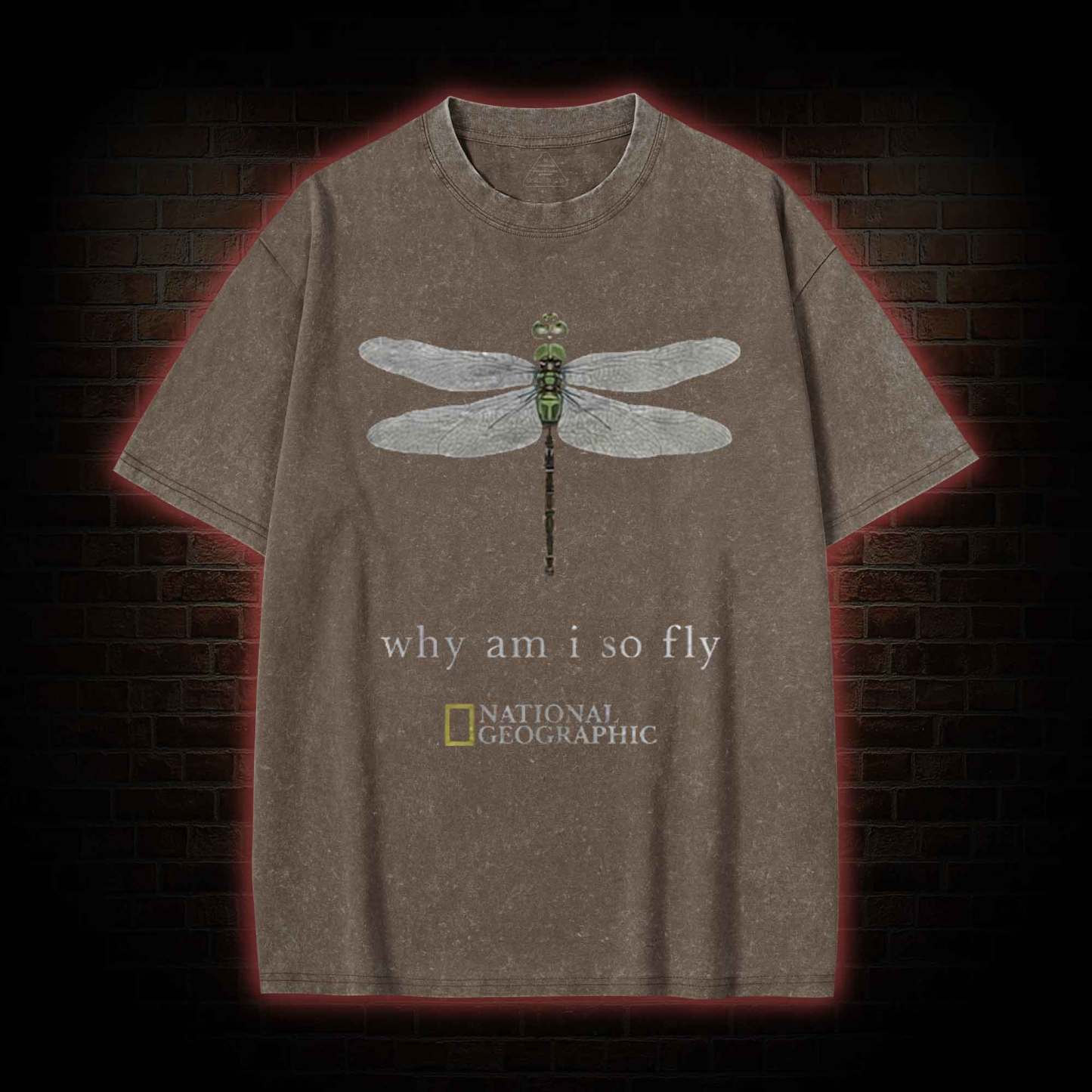 Why am I So Fly Washed T-shirt
