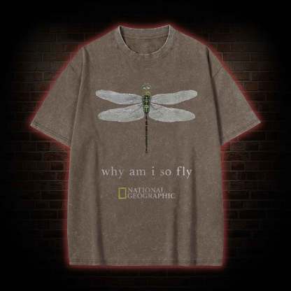 Why am I So Fly Washed T-shirt