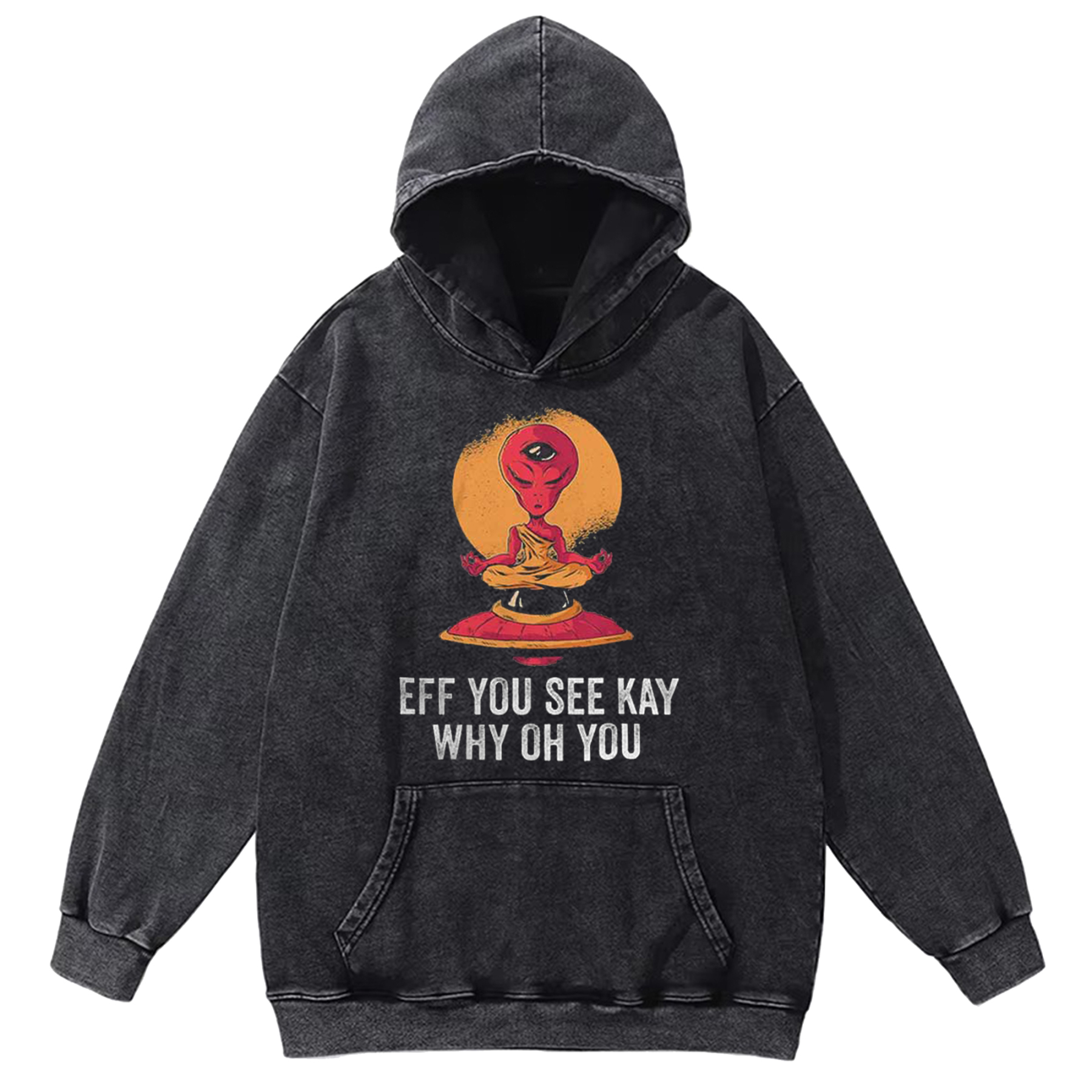 Eff You See Kay Why Oh You Alien Washed Hoodie