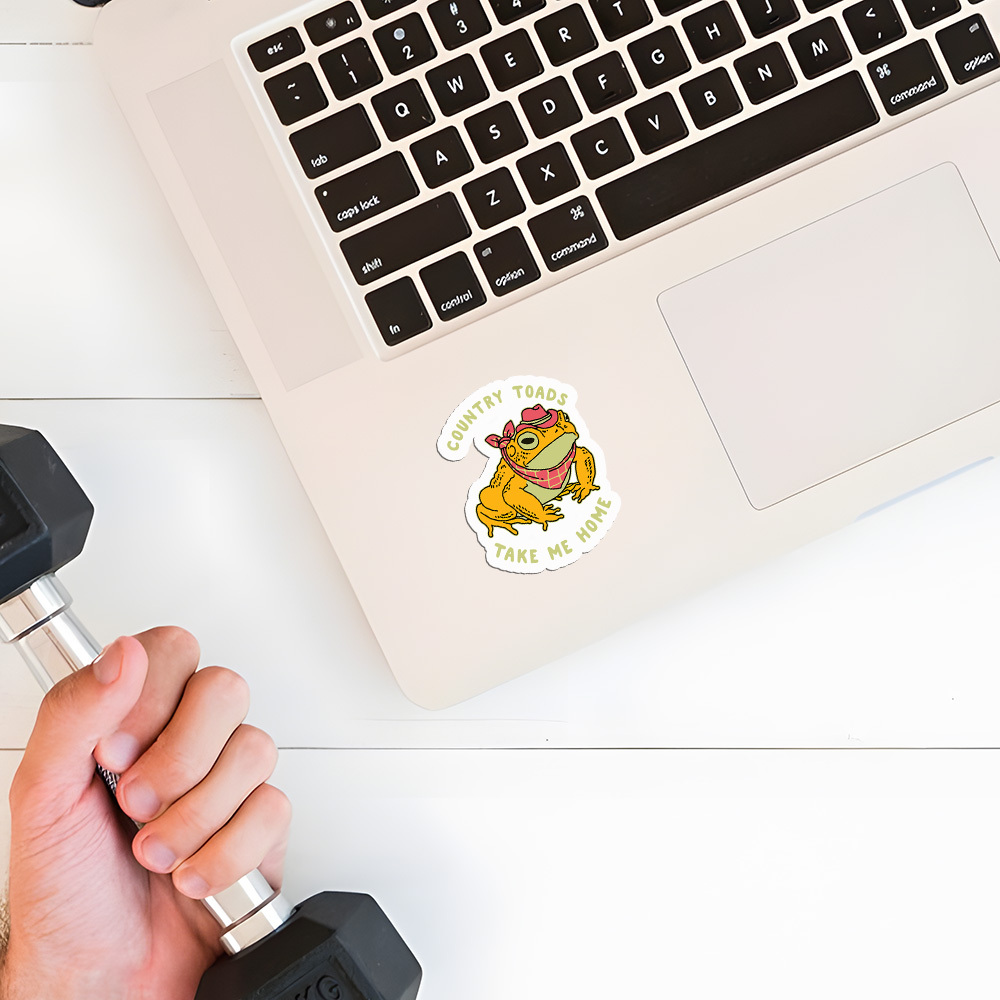 Country Today Take Me Home Sticker