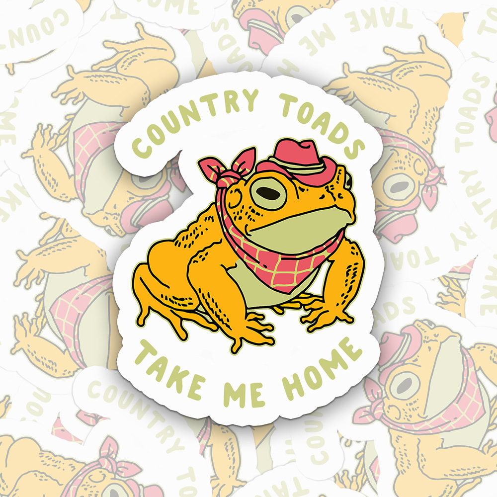 Country Today Take Me Home Sticker