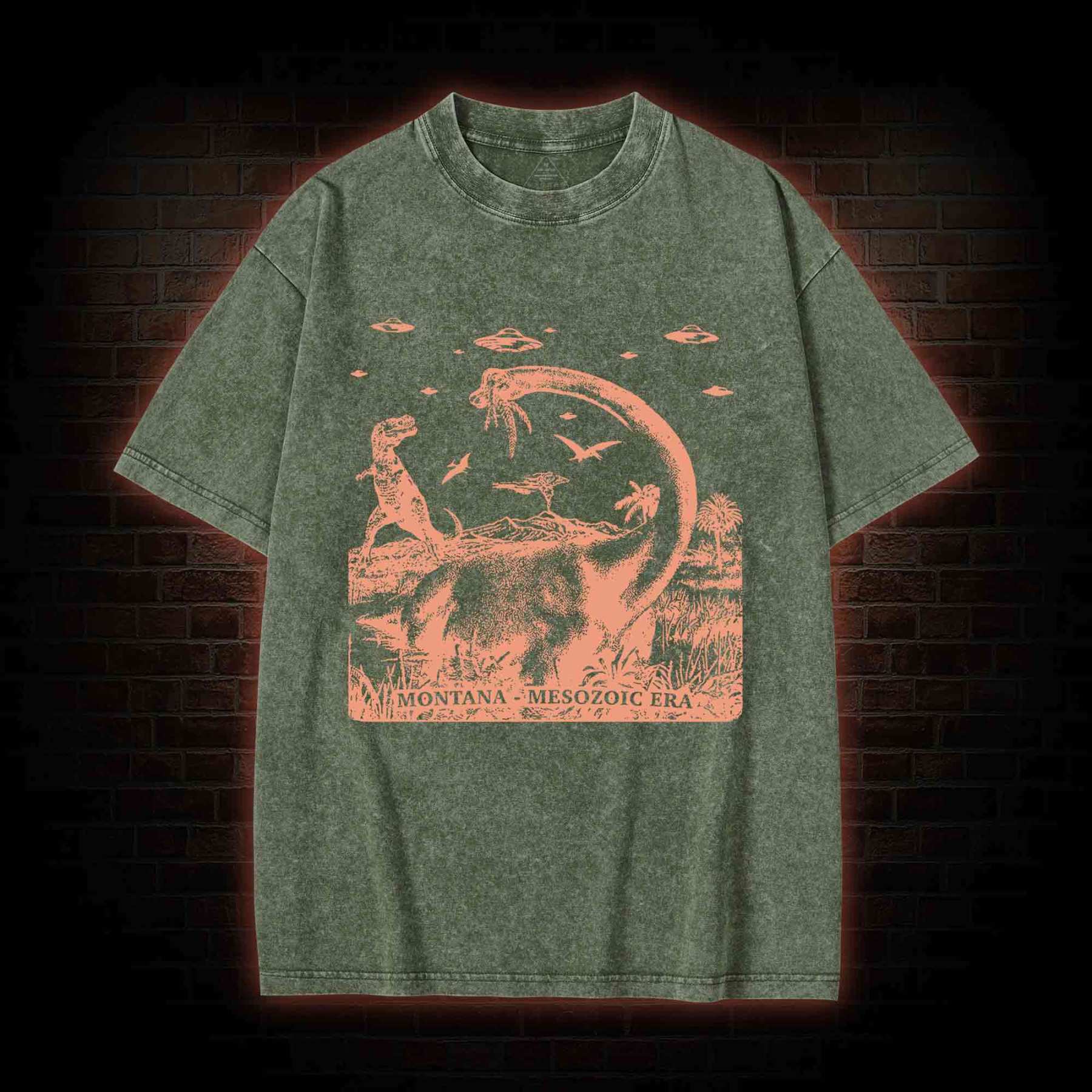 Montana Mesozoic Era Washed T-shirt