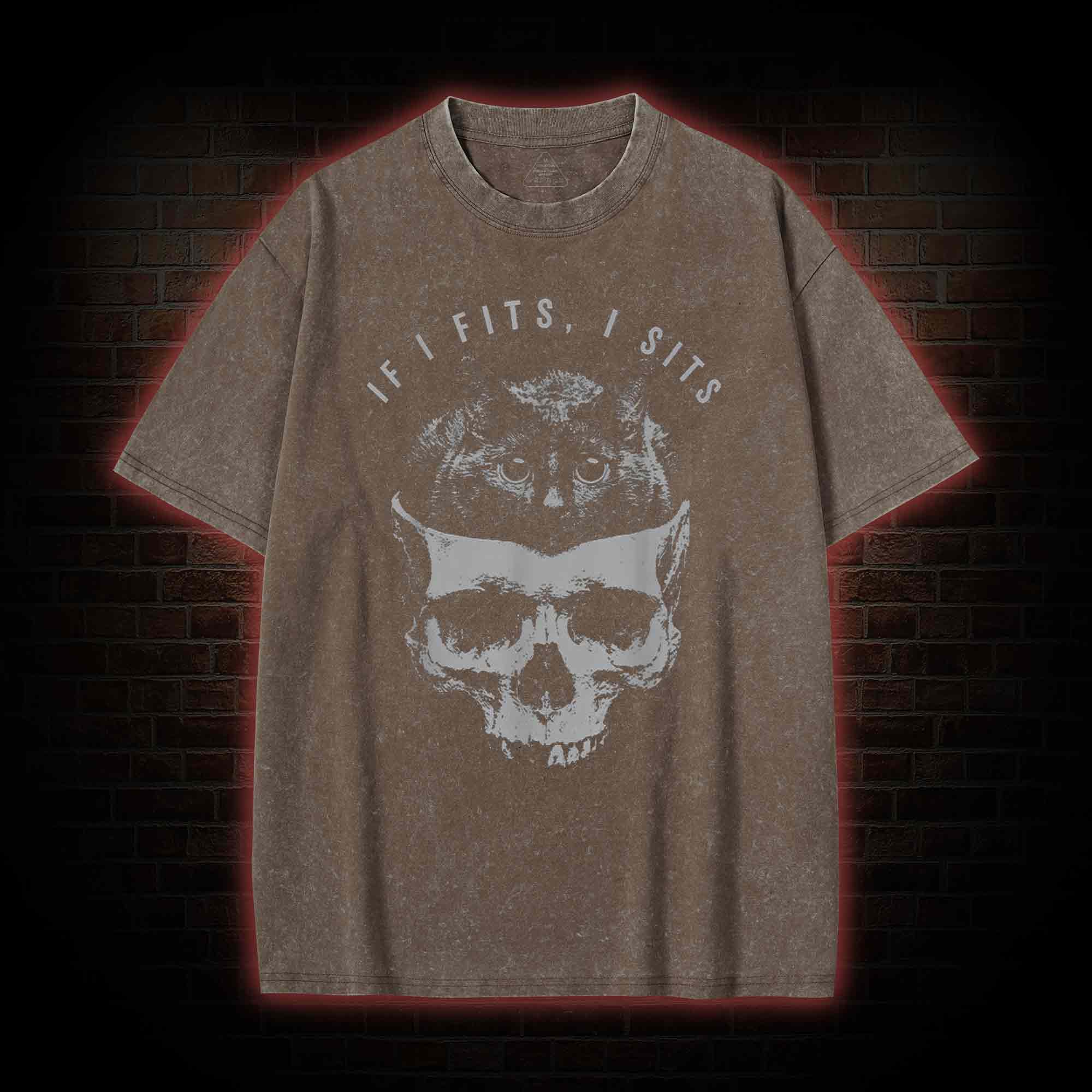 If I Fits I Sits Washed T-shirt