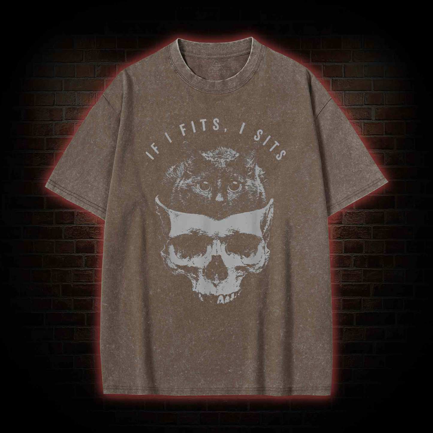 If I Fits I Sits Washed T-shirt