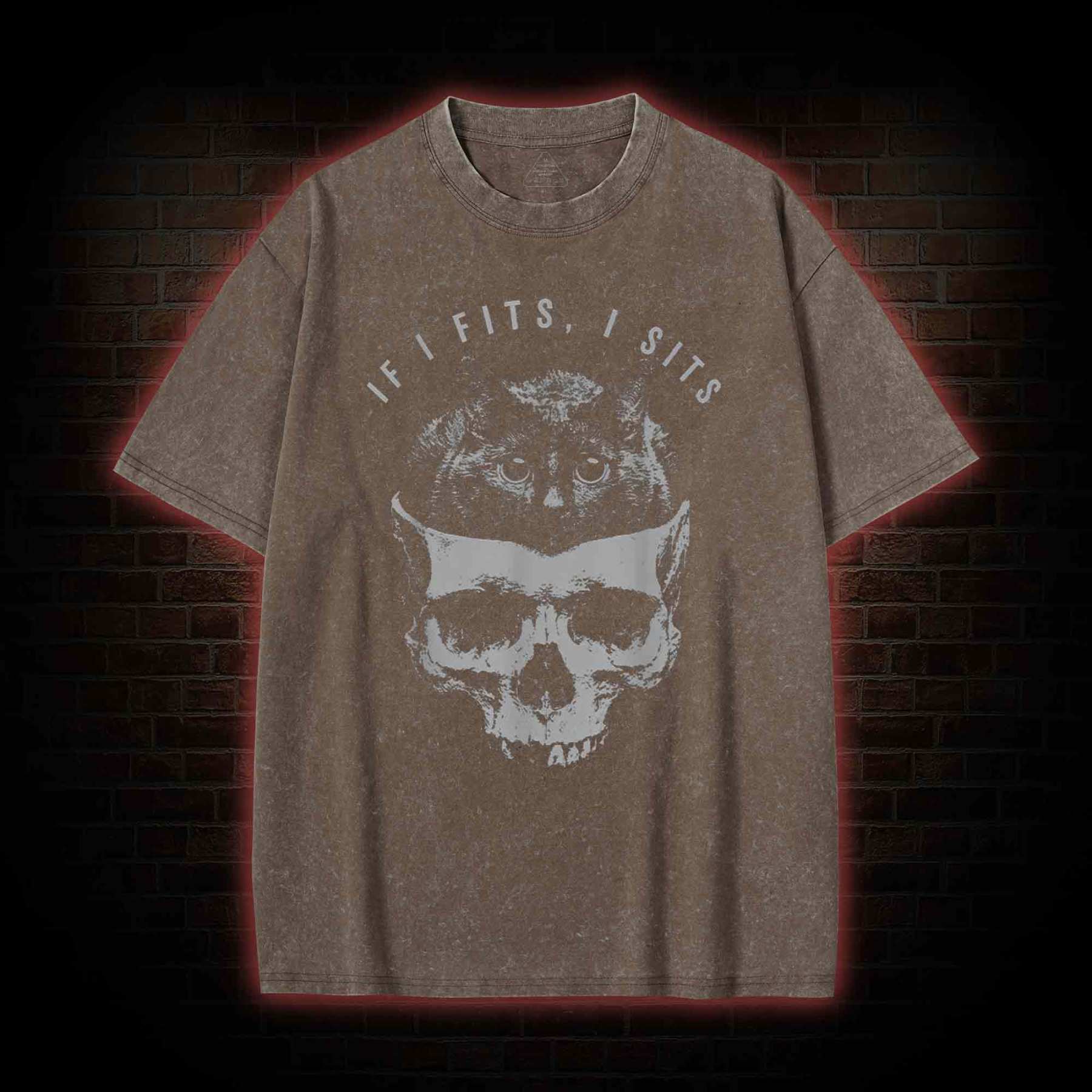 If I Fits I Sits Washed T-shirt