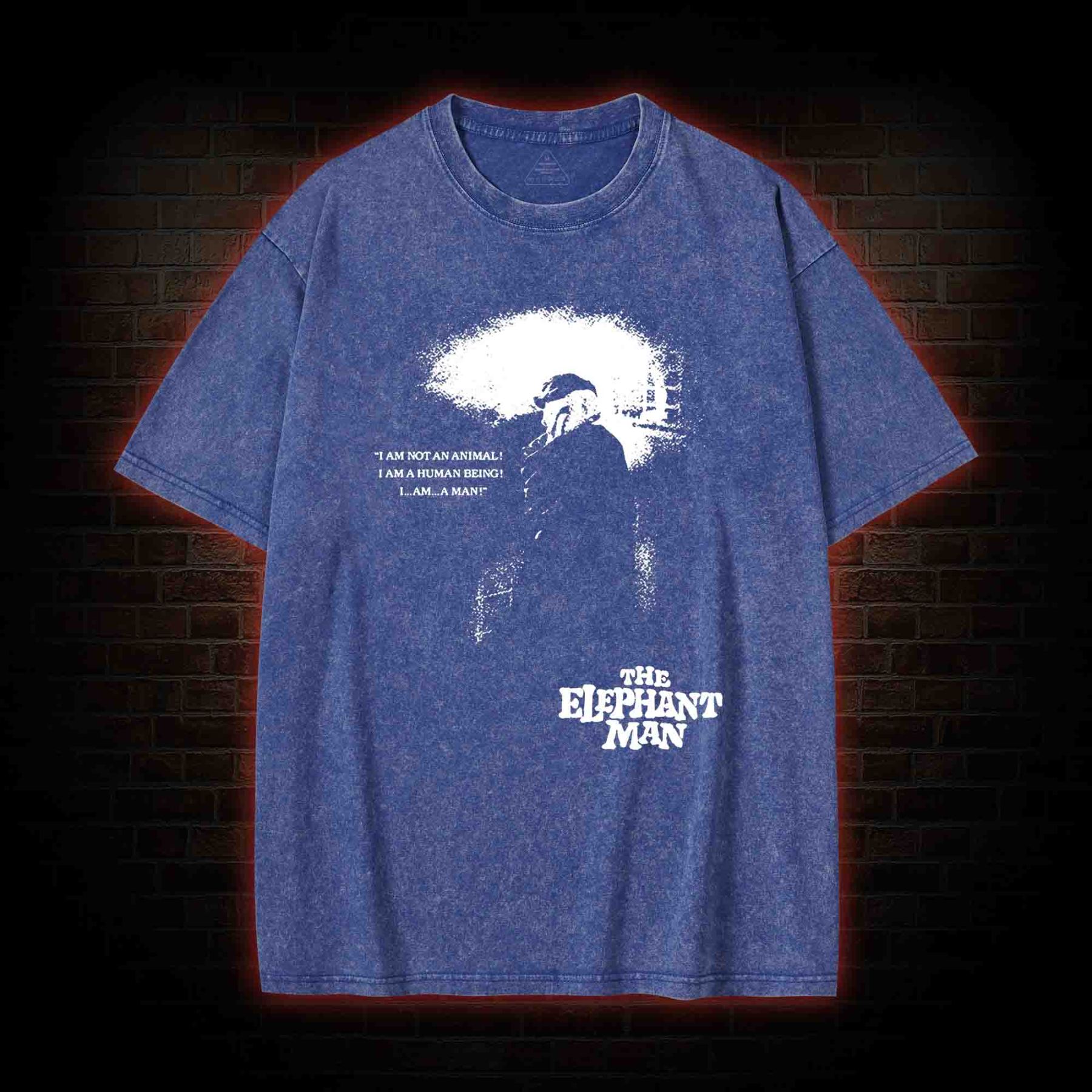 I am a Human Being Washed T-shirt