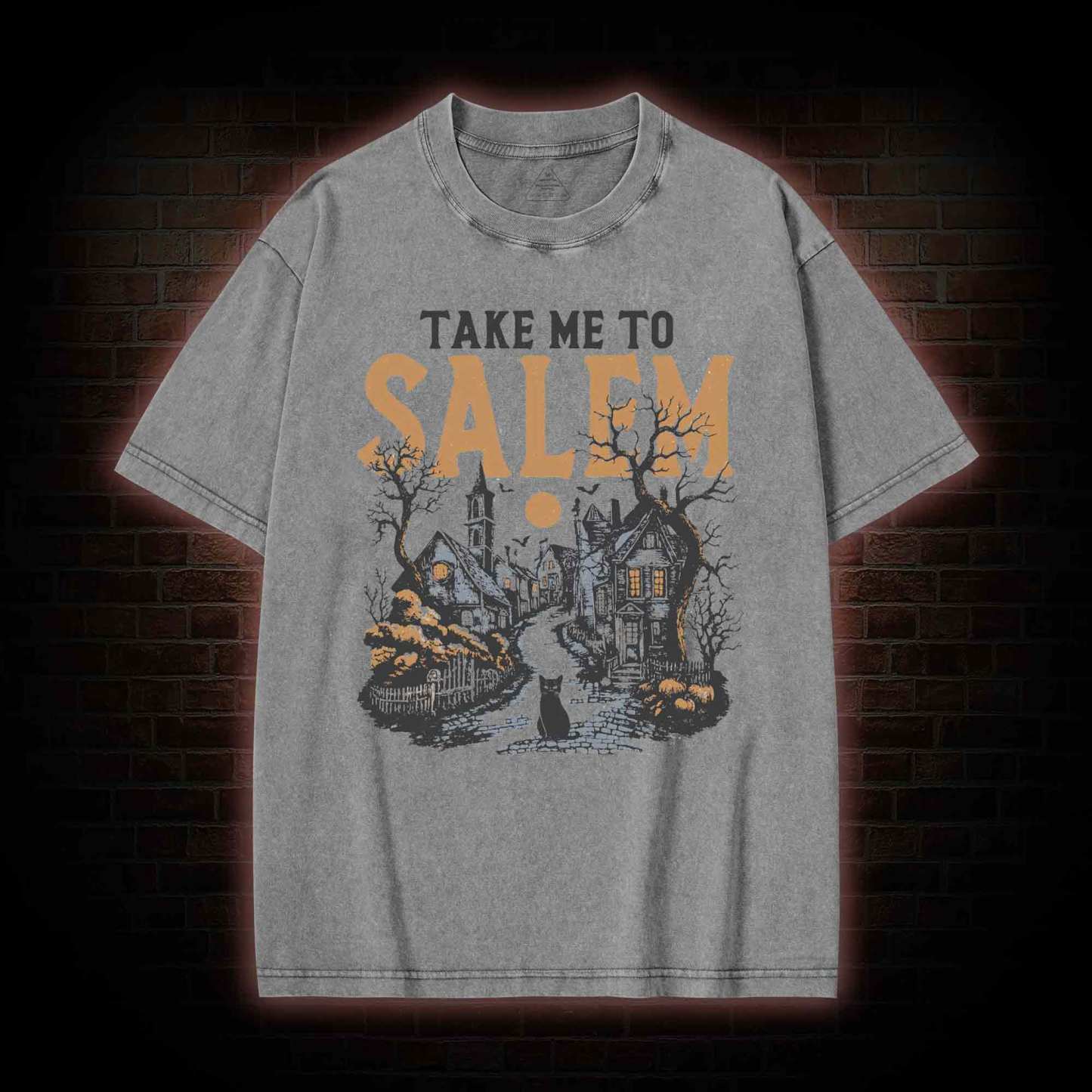 Take Me to Salem Washed T-shirt