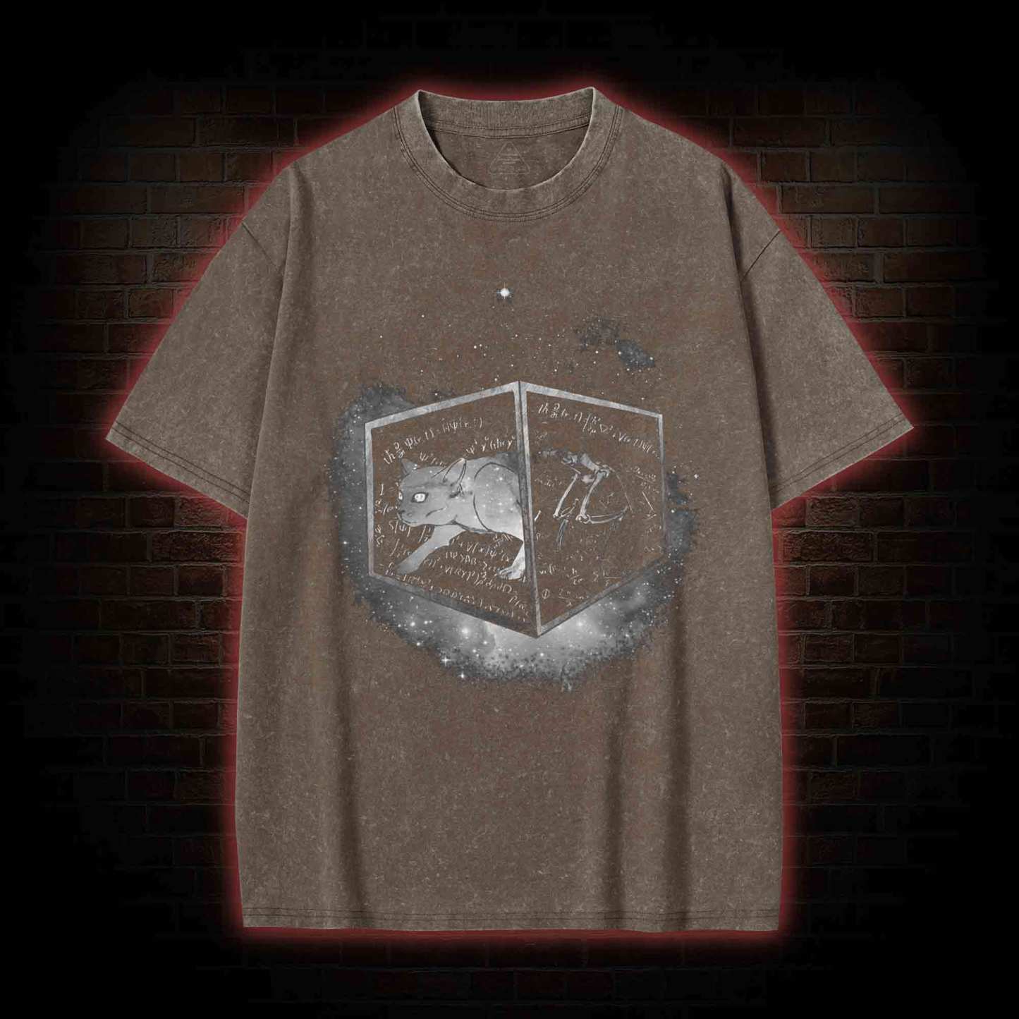 Schrodinger's Cat Washed T-shirt