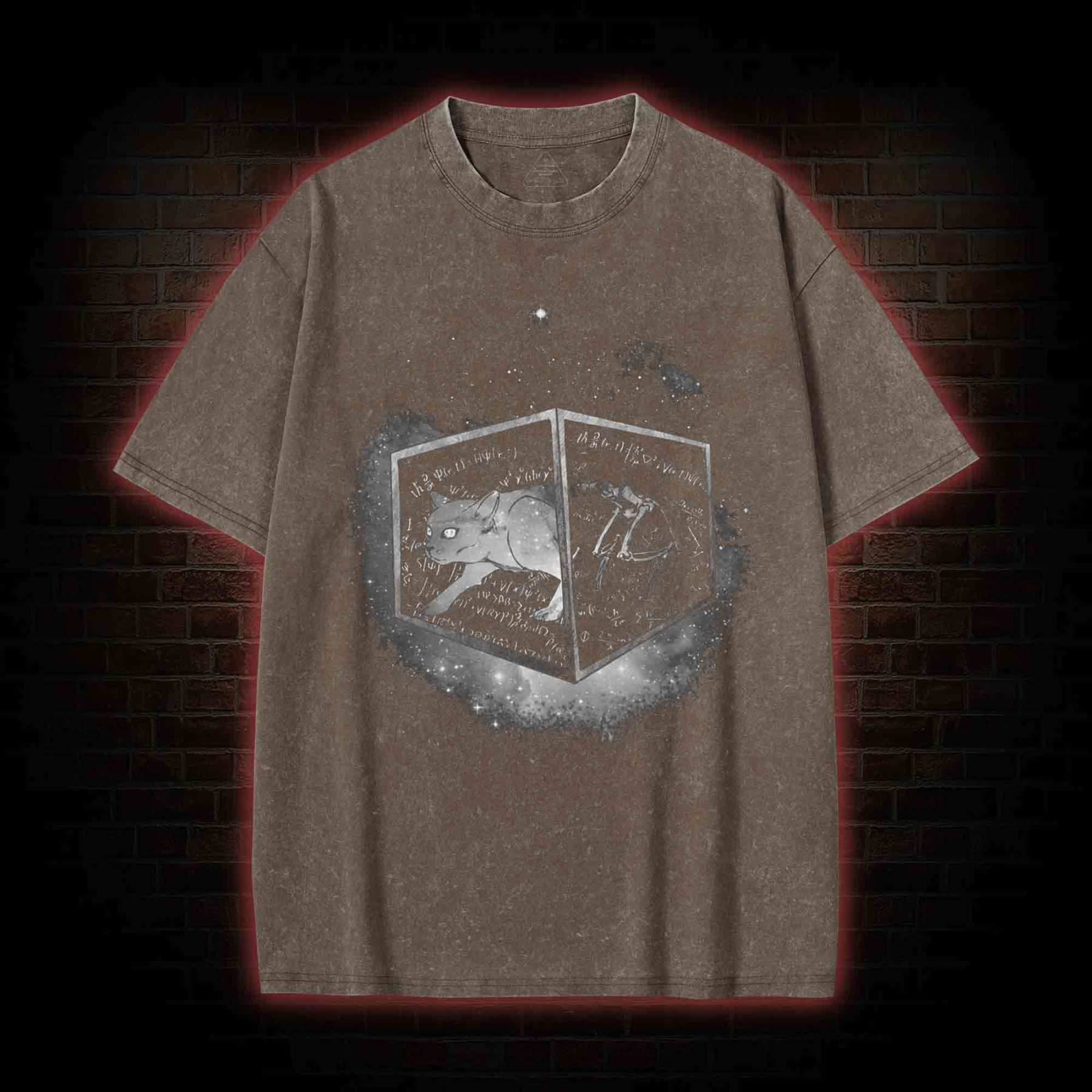 Schrodinger's Cat Washed T-shirt