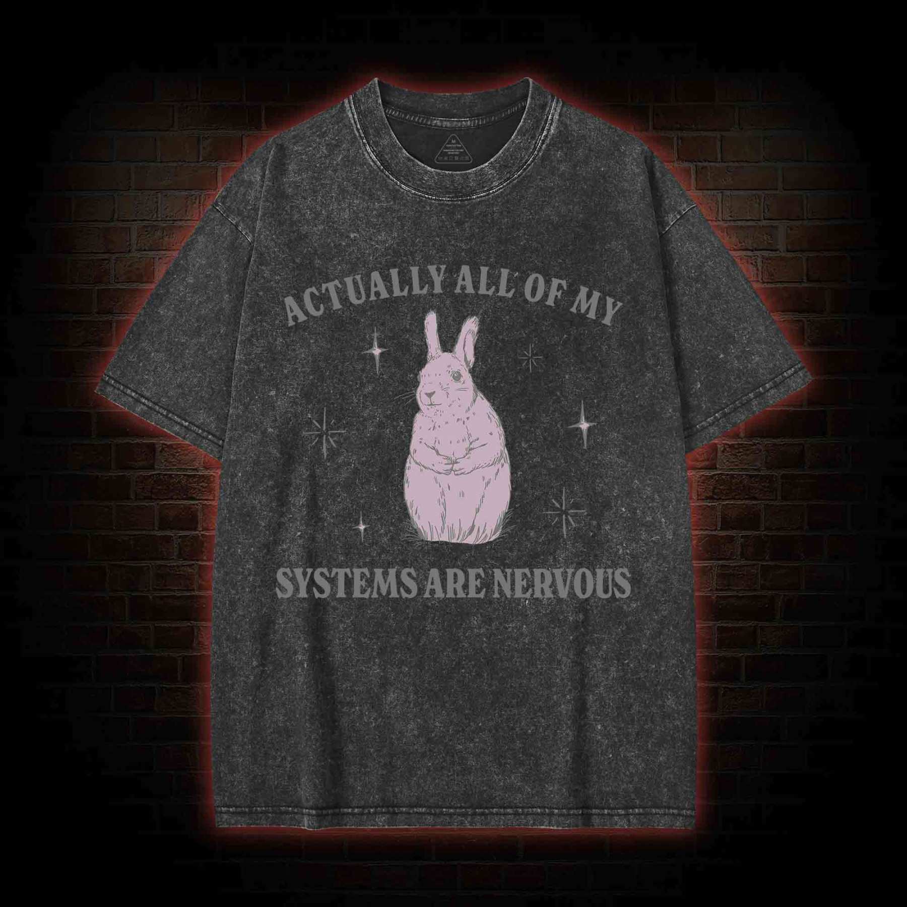 All Of My System Are Nervous Washed T-shirt