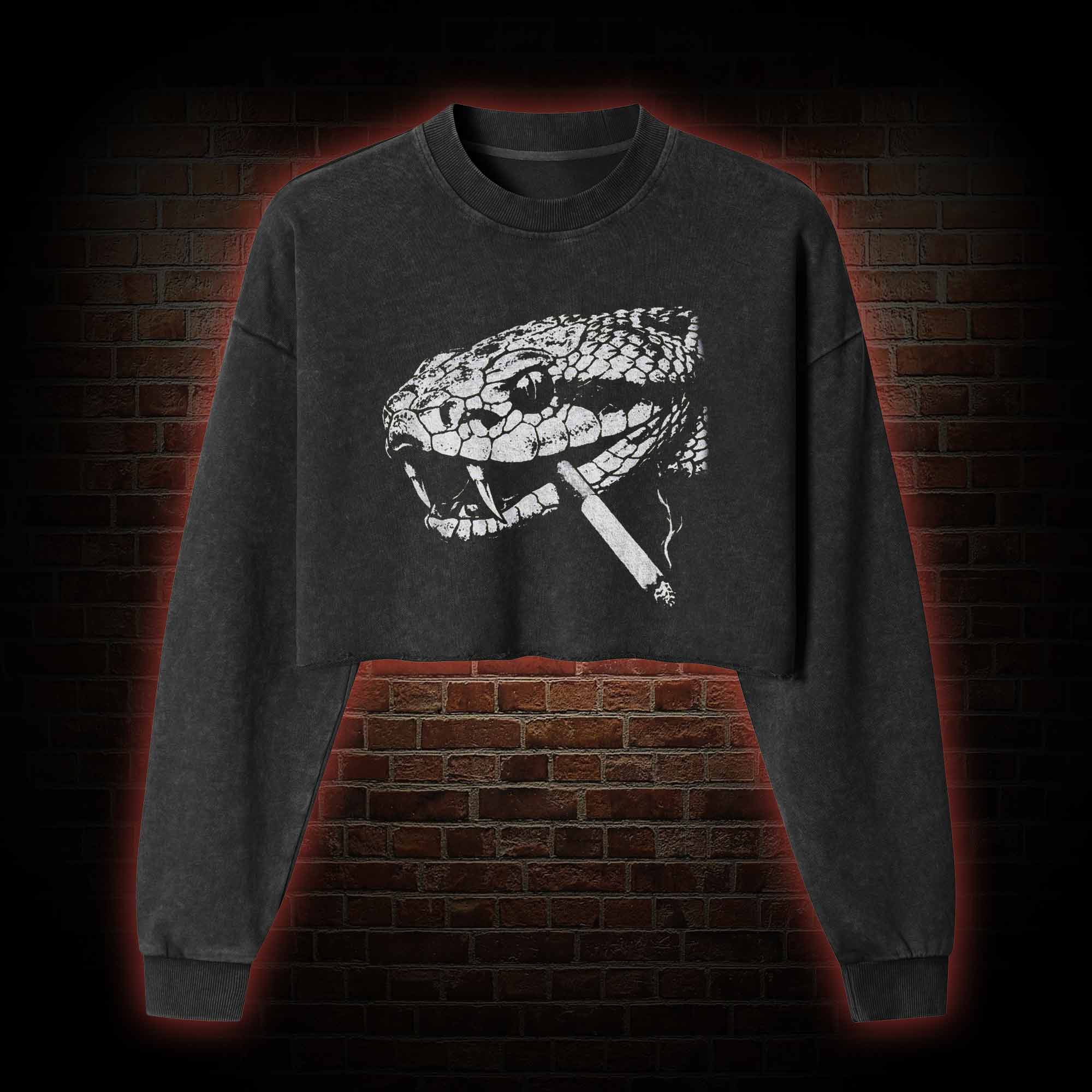 Snake Smoke Washed Cropped Sweatshirts