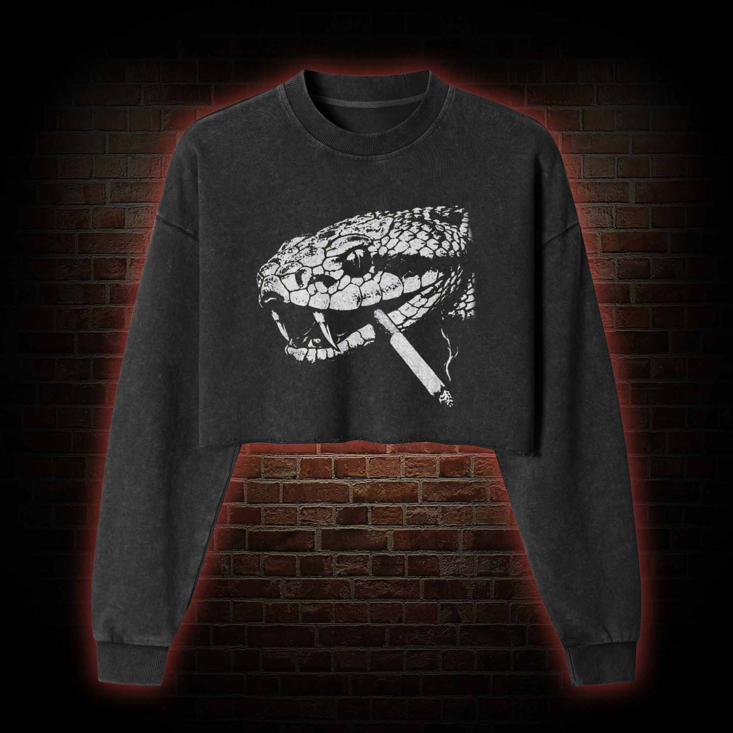 Snake Smoke Washed Cropped Sweatshirts