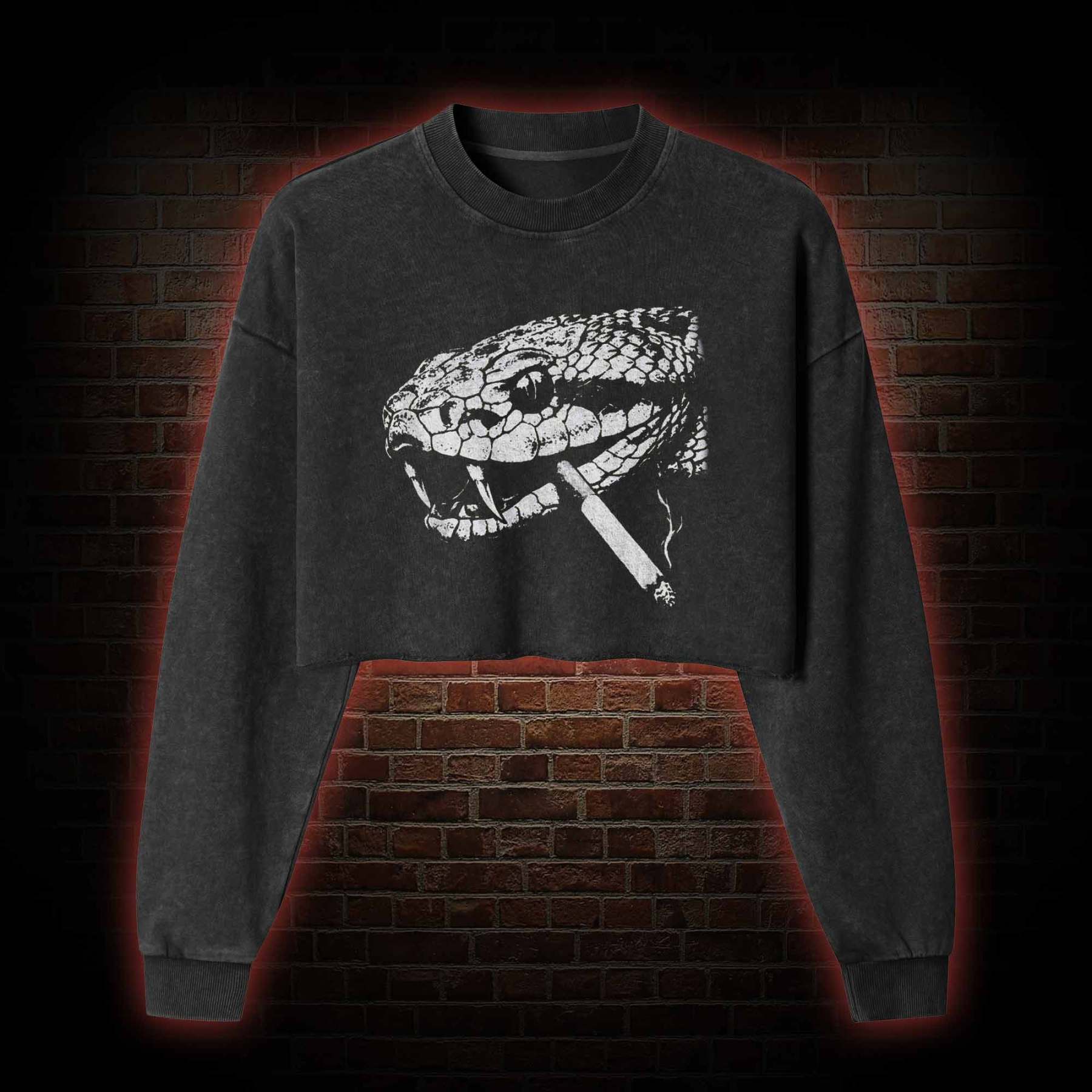 Snake Smoke Washed Cropped Sweatshirts
