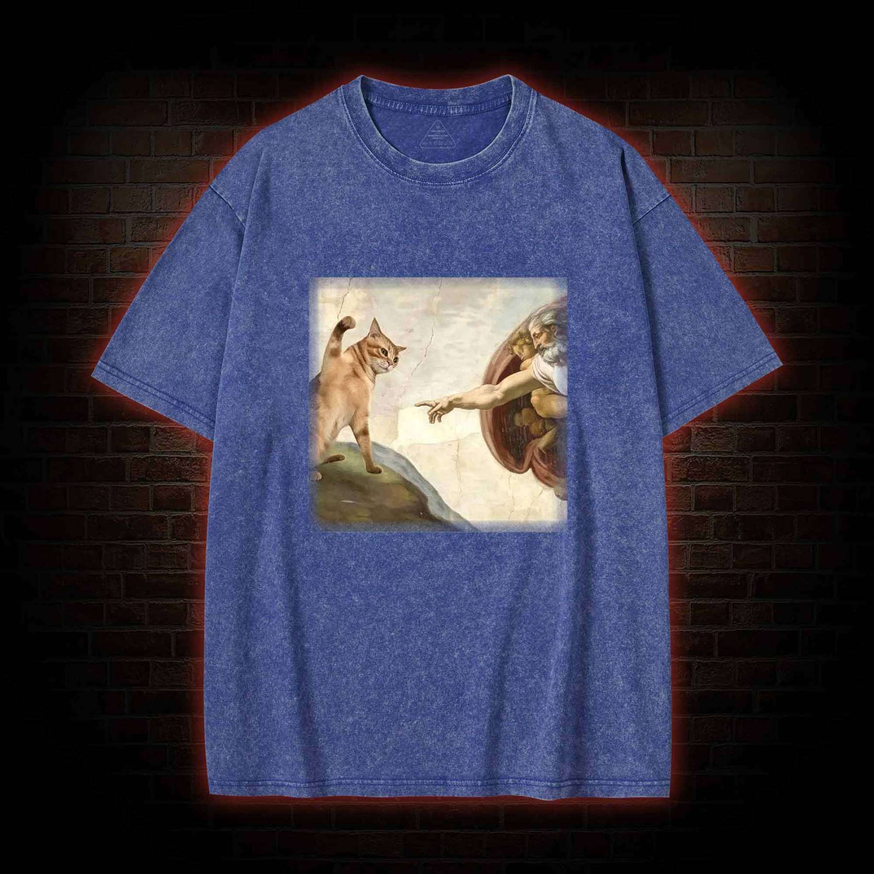 Cat God Creation of Adam Washed T-shirt